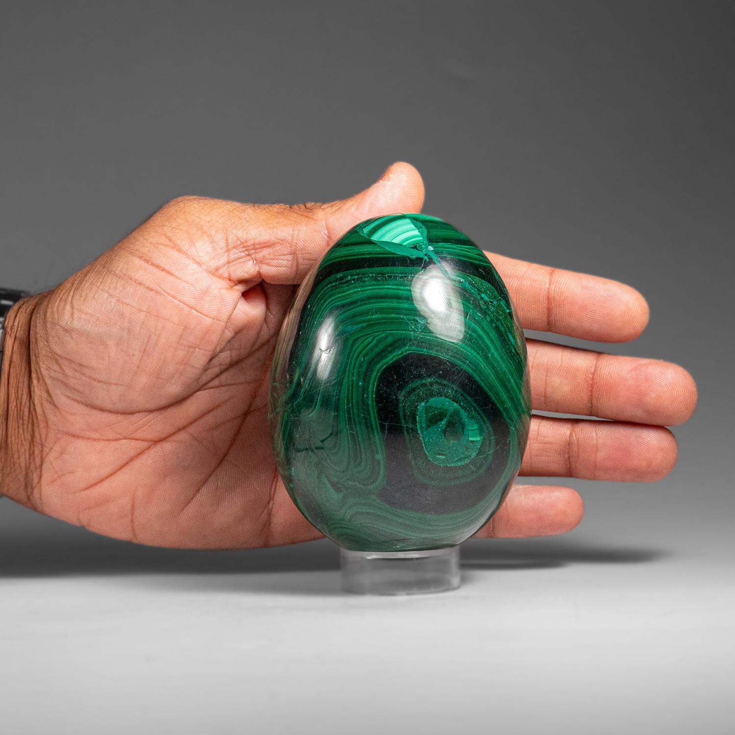 Congolese Genuine Polished Malachite Egg (1.9 lbs) For Sale