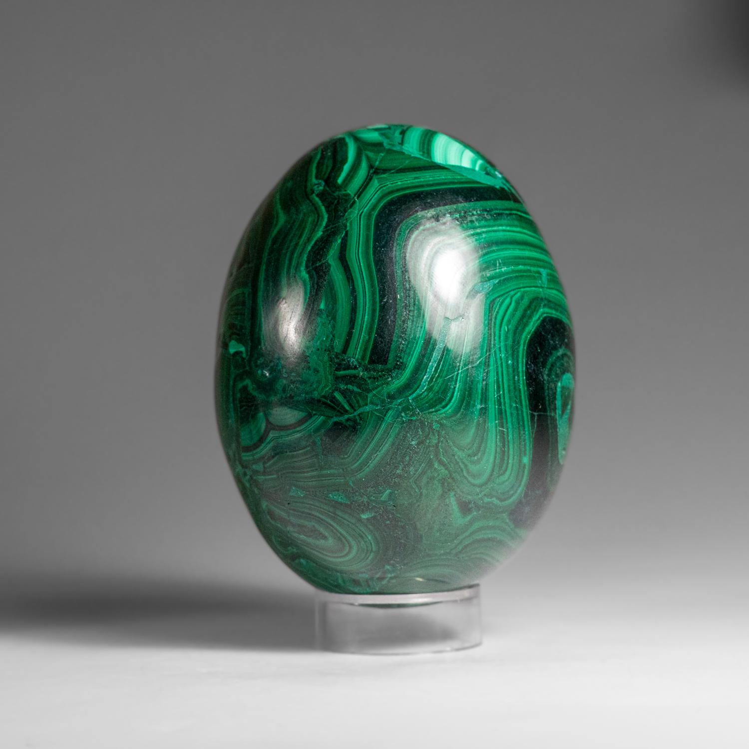 Genuine Polished Malachite Egg (1.9 lbs) In Excellent Condition For Sale In New York, NY