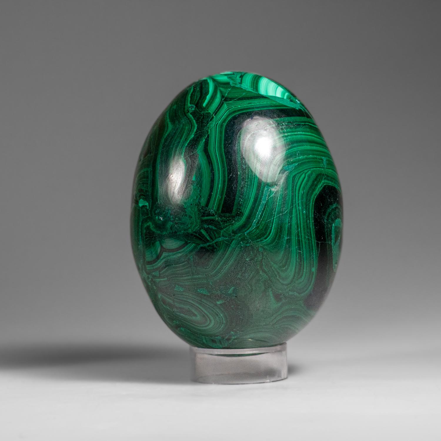 Contemporary Genuine Polished Malachite Egg (1.9 lbs) For Sale
