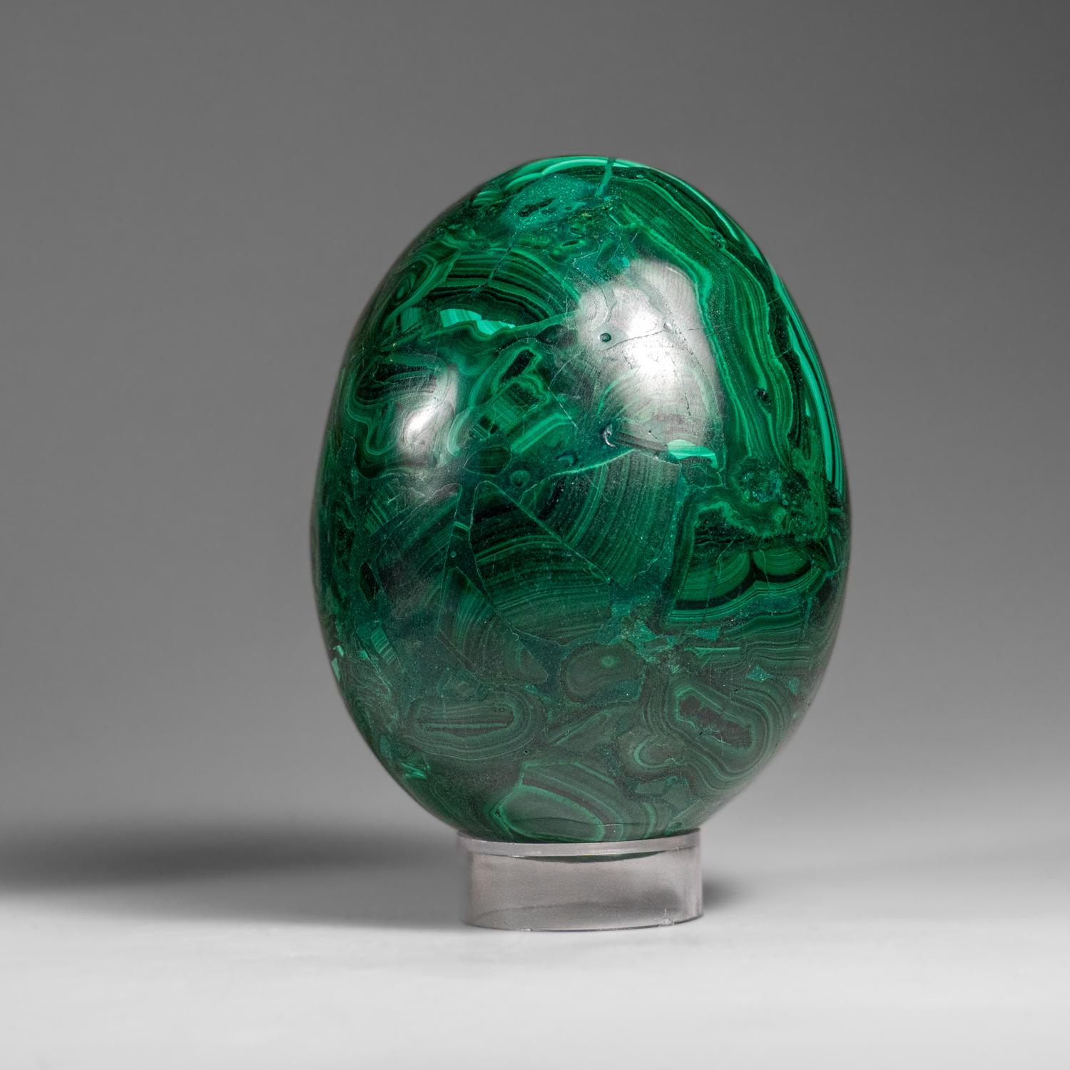 Genuine Polished Malachite Egg (1.9 lbs) For Sale 1