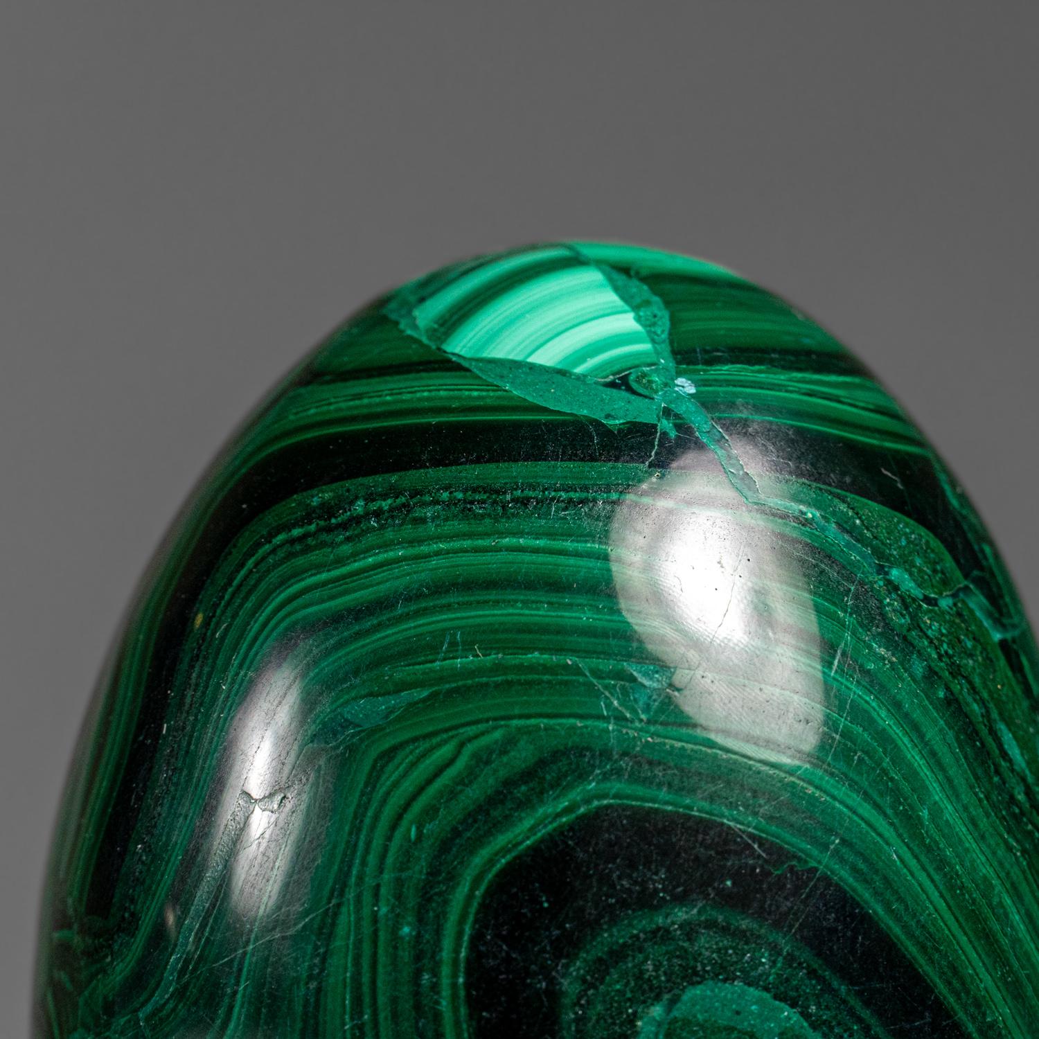 Genuine Polished Malachite Egg (1.9 lbs) For Sale 2