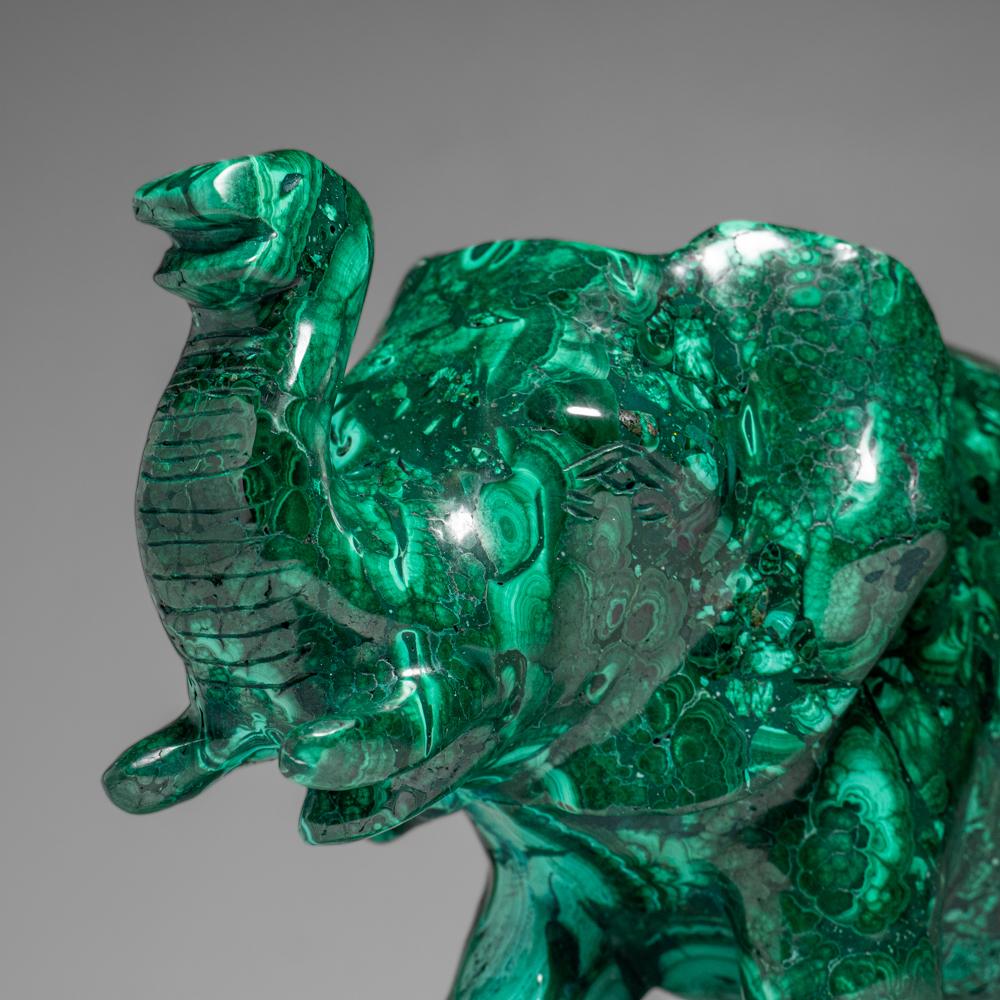 Esta talla de elefante, bellamente detallada, está magistralmente tallada a mano en una sola pieza maciza de malaquita procedente del Zaire. Pulida con un acabado de espejo, la malaquita ojo de buey de primera calidad muestra brillantes patrones