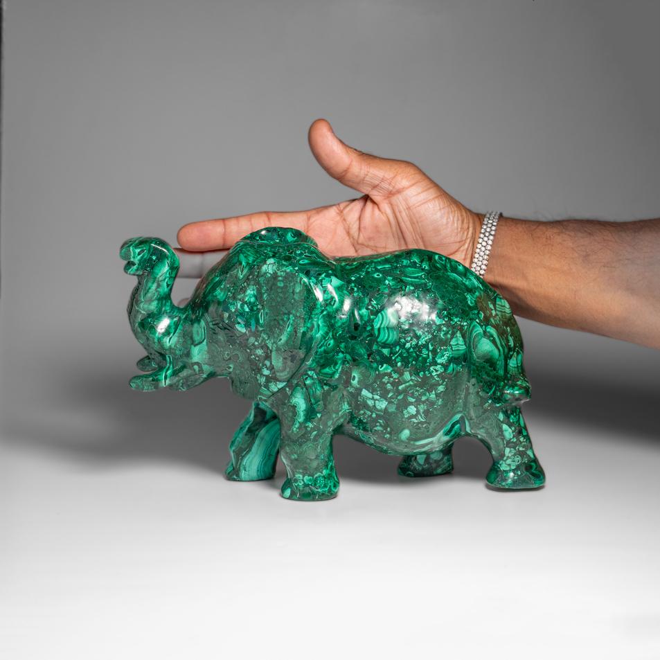 Talla de elefante de malaquita pulida auténtica (9 libras) Congoleño en venta