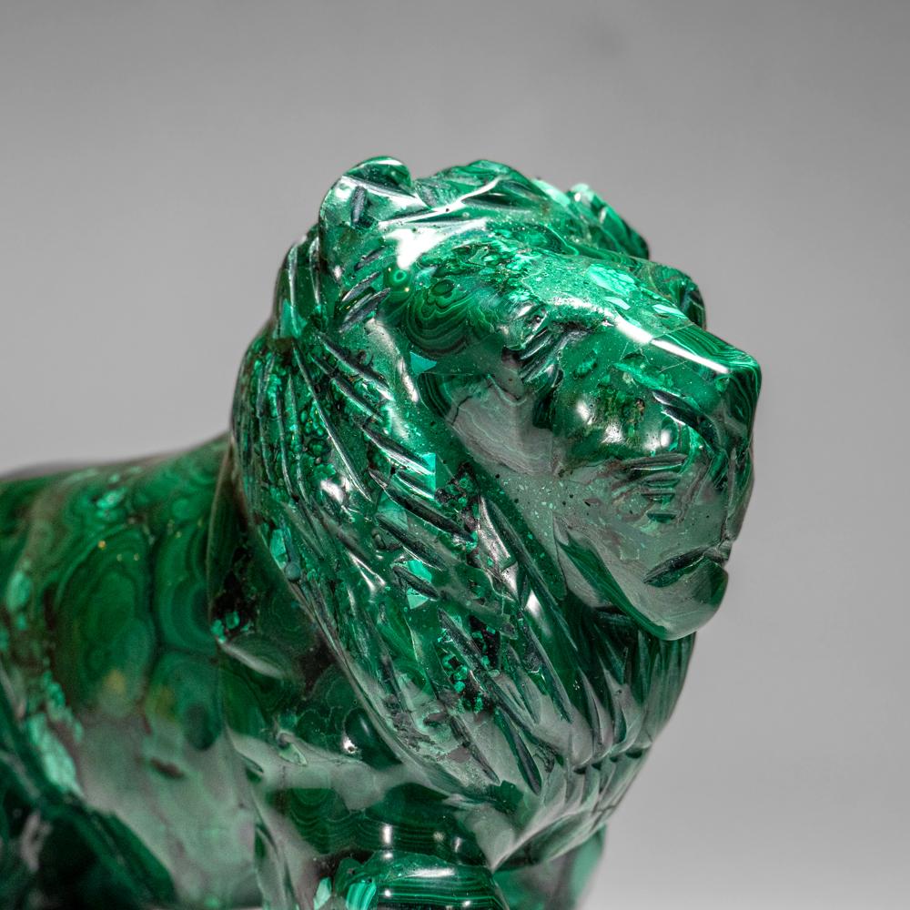 Genuine Polished Malachite Lion Carving (5.2 lbs) For Sale 1
