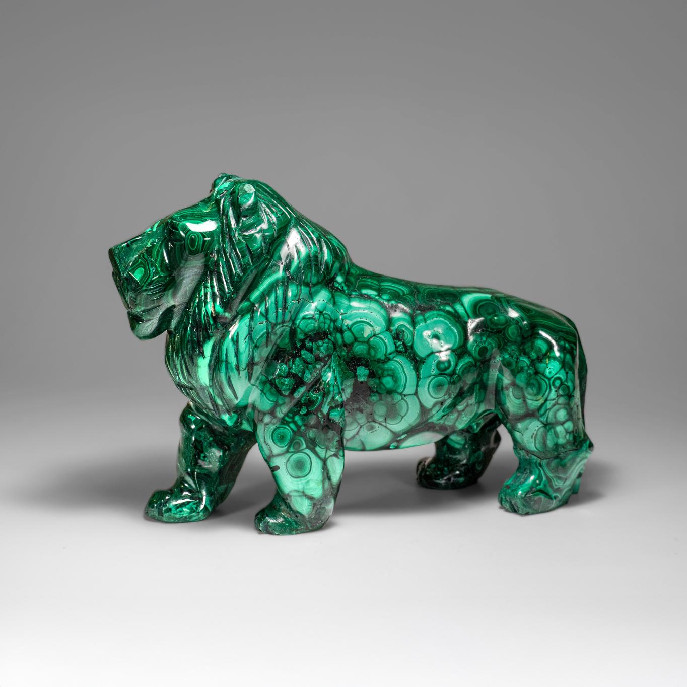 Genuine Polished Malachite Lion Carving (5.2 lbs) For Sale 3