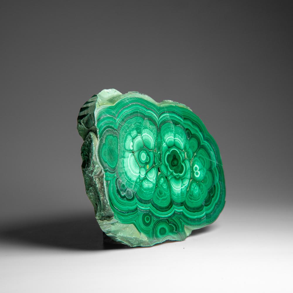 Fetta di stalattite di malachite autentica lucidata (1,6 libbre) in vendita 4