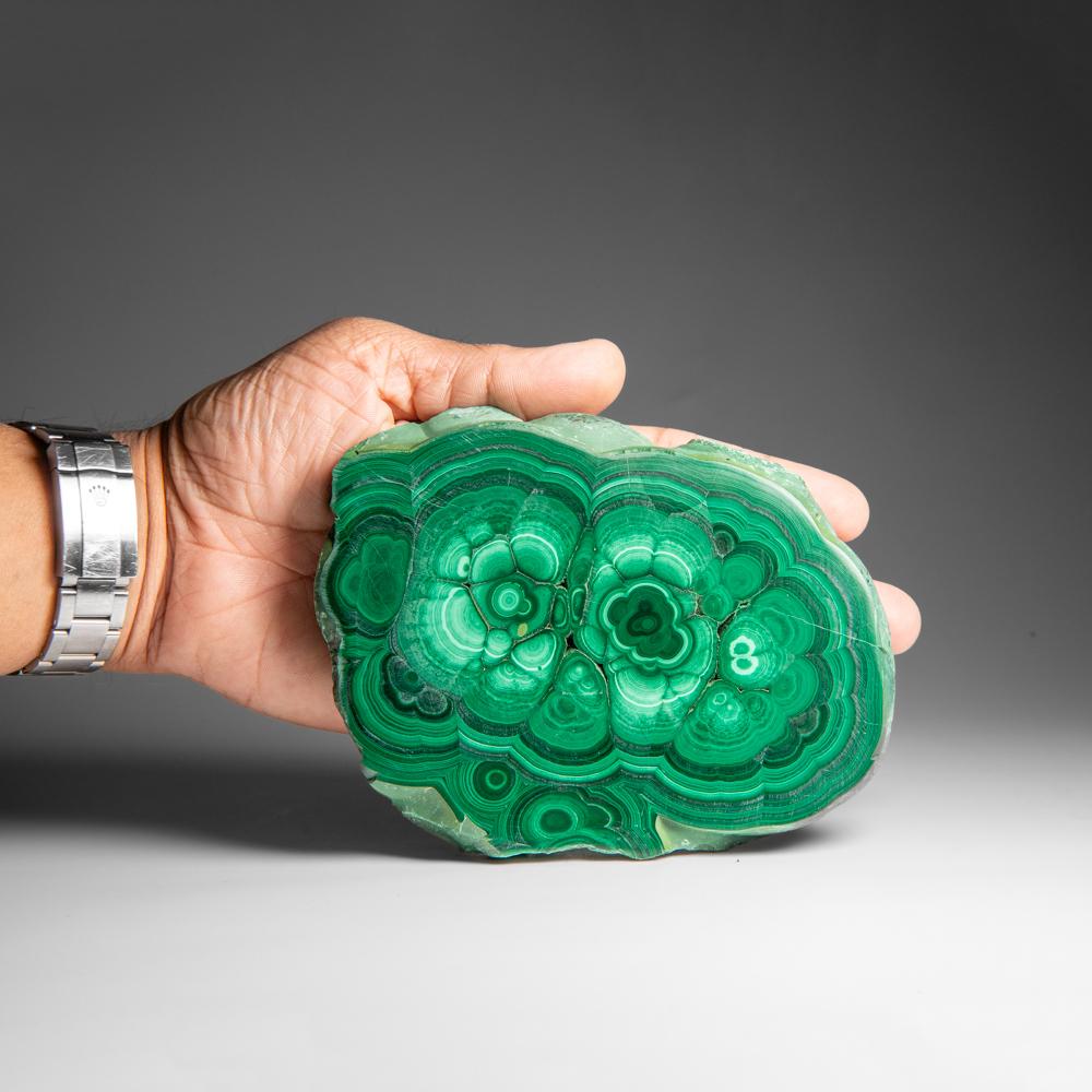 Congolese Fetta di stalattite di malachite autentica lucidata (1,6 libbre) in vendita