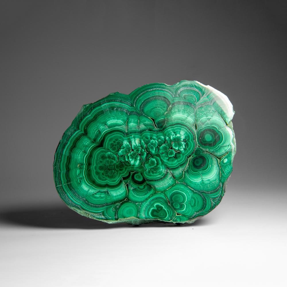 Fetta di stalattite di malachite autentica lucidata (1,6 libbre) In condizioni ottime in vendita a New York, NY