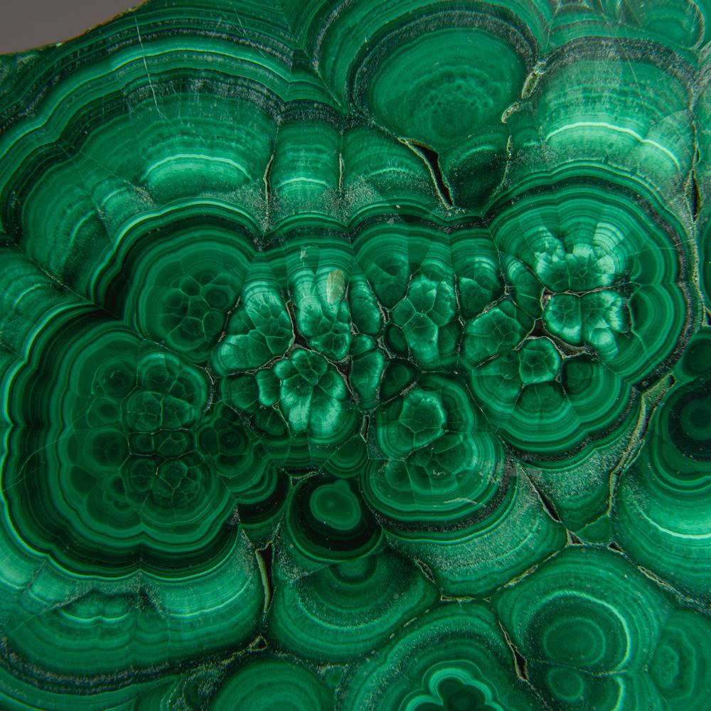 XXI secolo e contemporaneo Fetta di stalattite di malachite autentica lucidata (1,6 libbre) in vendita