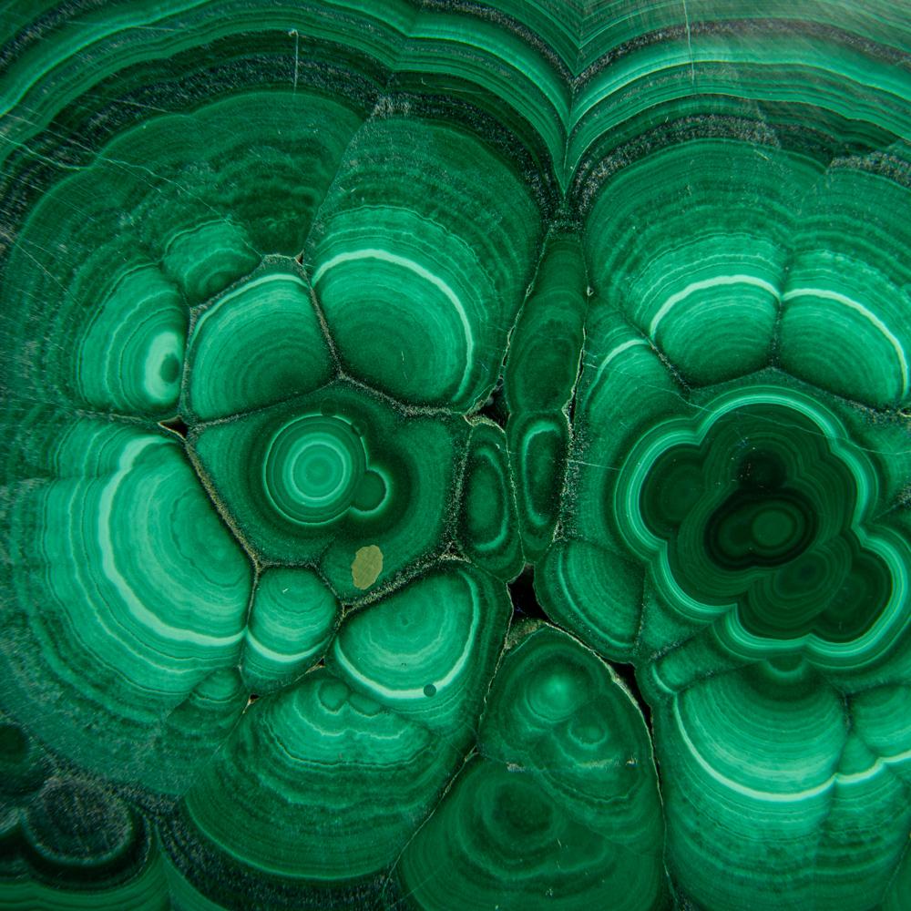 Fetta di stalattite di malachite autentica lucidata (1,6 libbre) in vendita 3