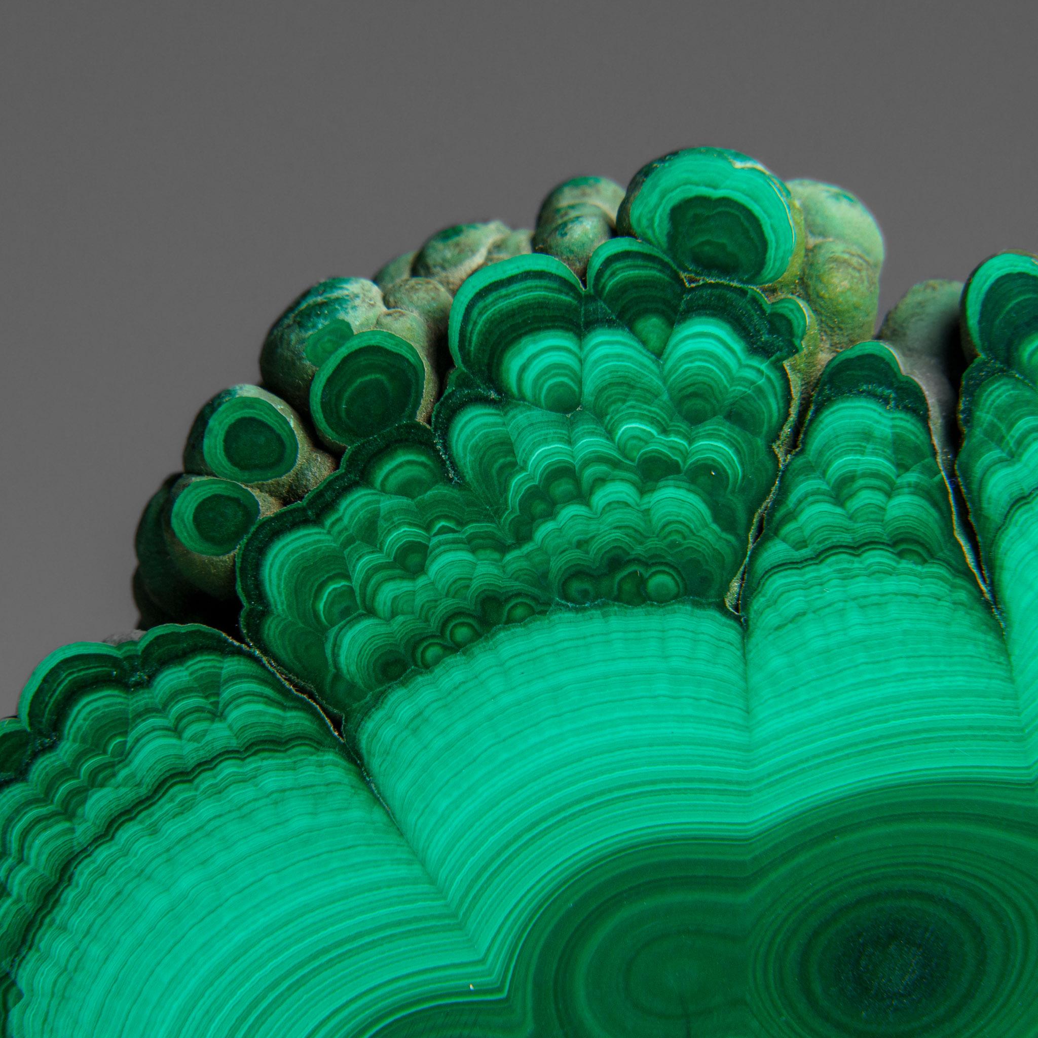 Genuine Polished Malachite Stalactite Slice (292.5 grams) For Sale 6
