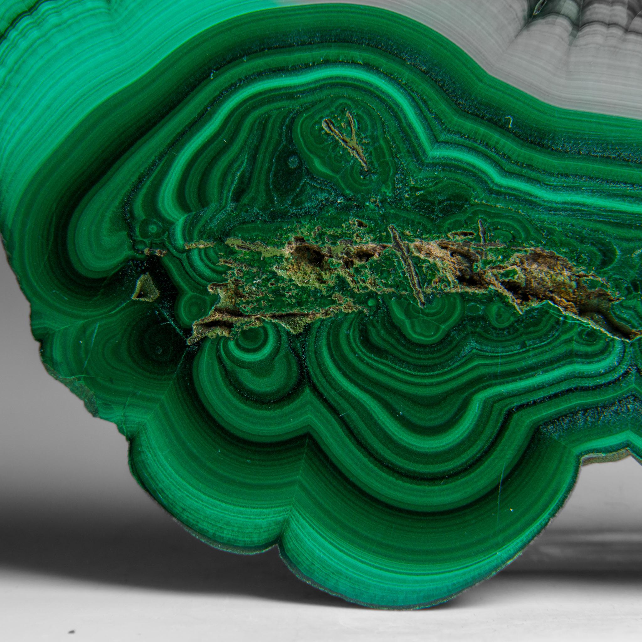 Genuine Polished Malachite Stalactite Slice (292.5 grams) For Sale 2