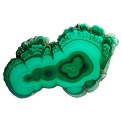Genuine Polished Malachite Stalactite Slice (292.5 grams)