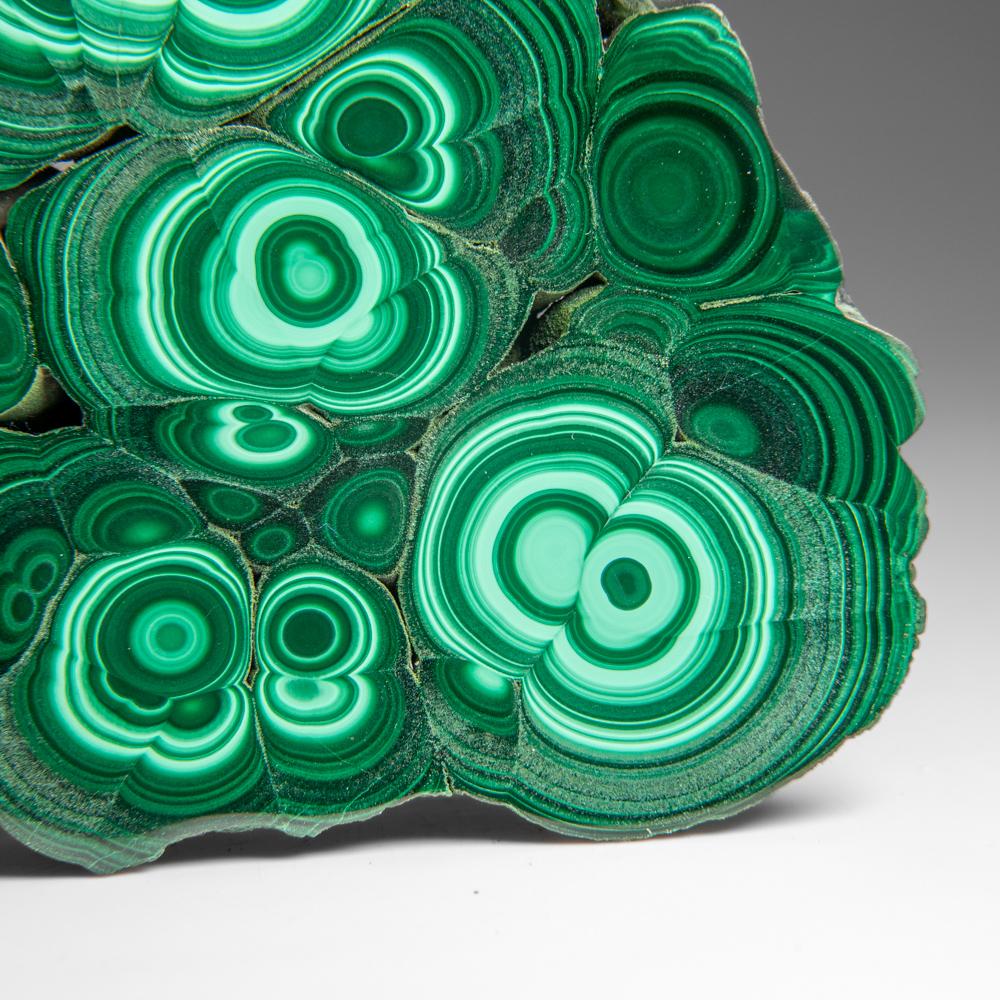 Fetta di stalattite di malachite autentica lucidata (307 grammi) 4