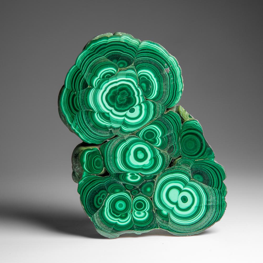 Fetta di stalattite di malachite autentica lucidata (307 grammi) 5