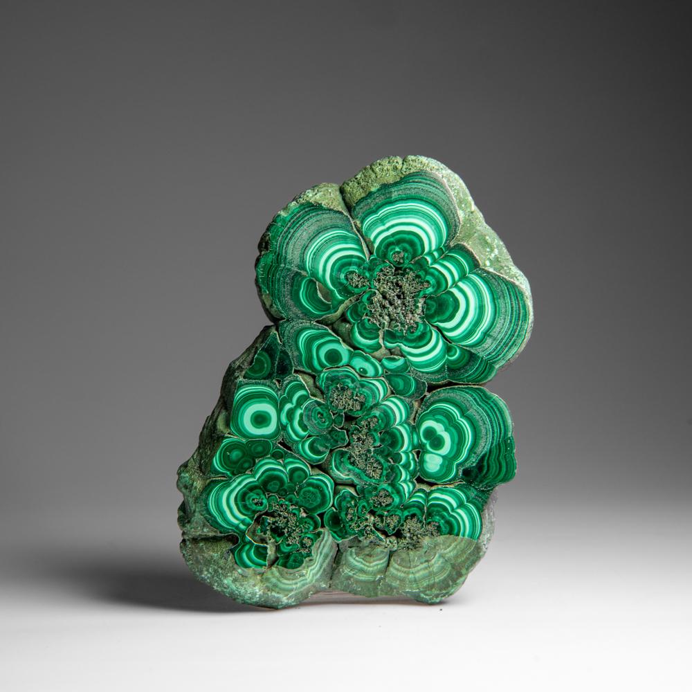 XXI secolo e contemporaneo Fetta di stalattite di malachite autentica lucidata (307 grammi)