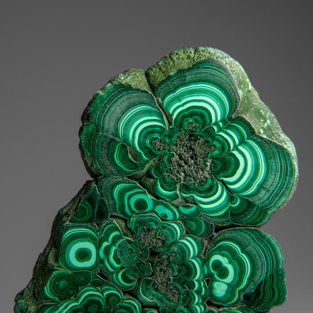 Malachite Fetta di stalattite di malachite autentica lucidata (307 grammi)