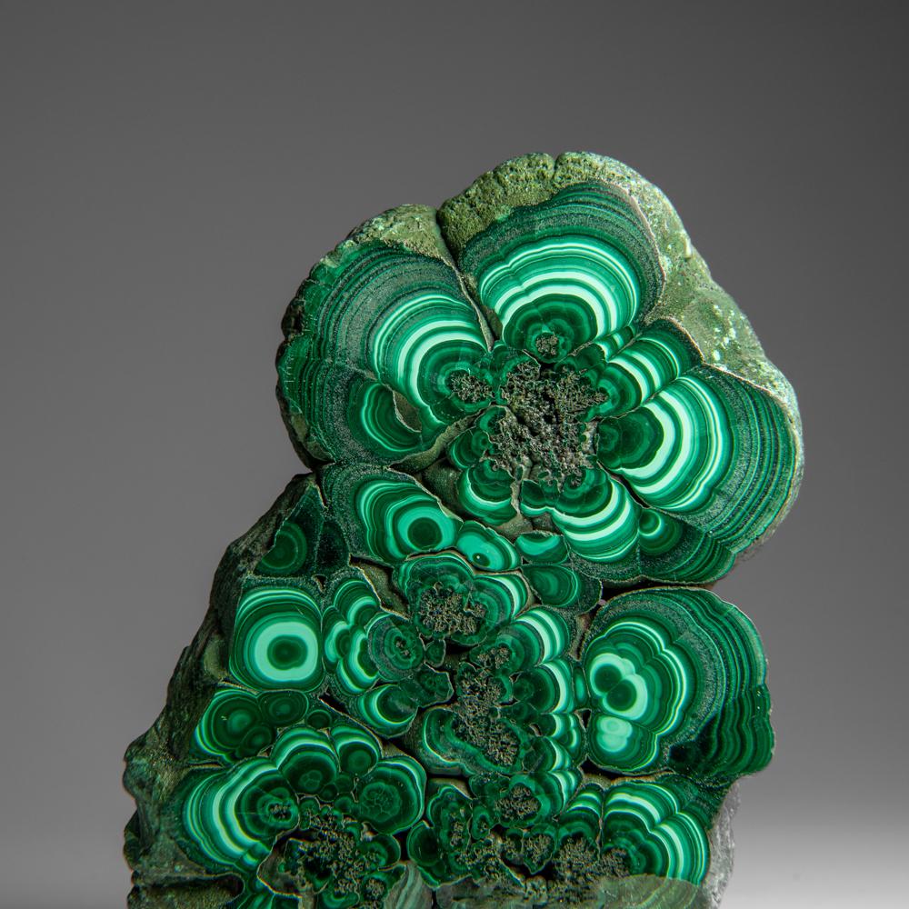Fetta di stalattite di malachite autentica lucidata (307 grammi) 1