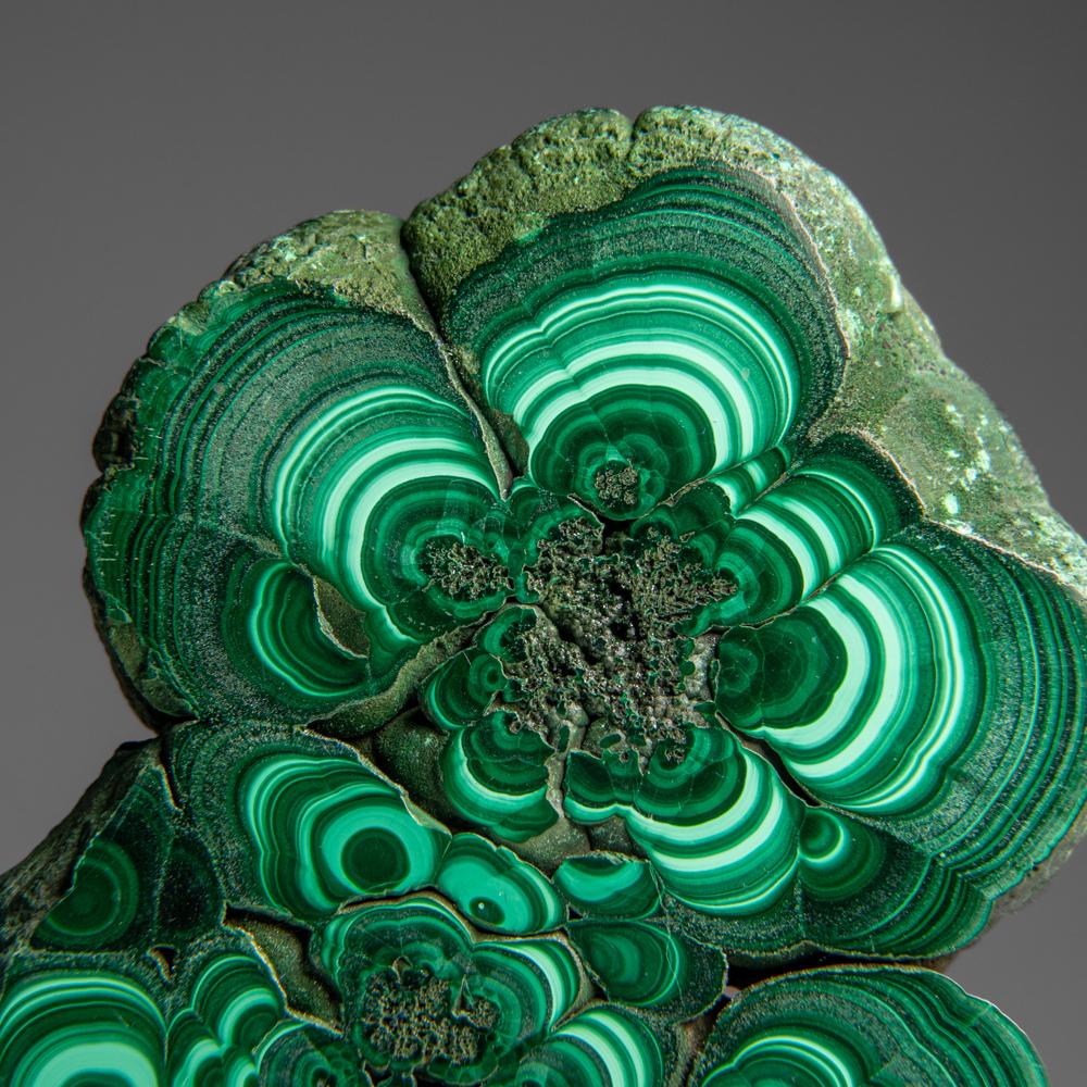 Fetta di stalattite di malachite autentica lucidata (307 grammi) 2