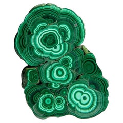Genuine Polished Malachite Stalactite Slice (307 grams)