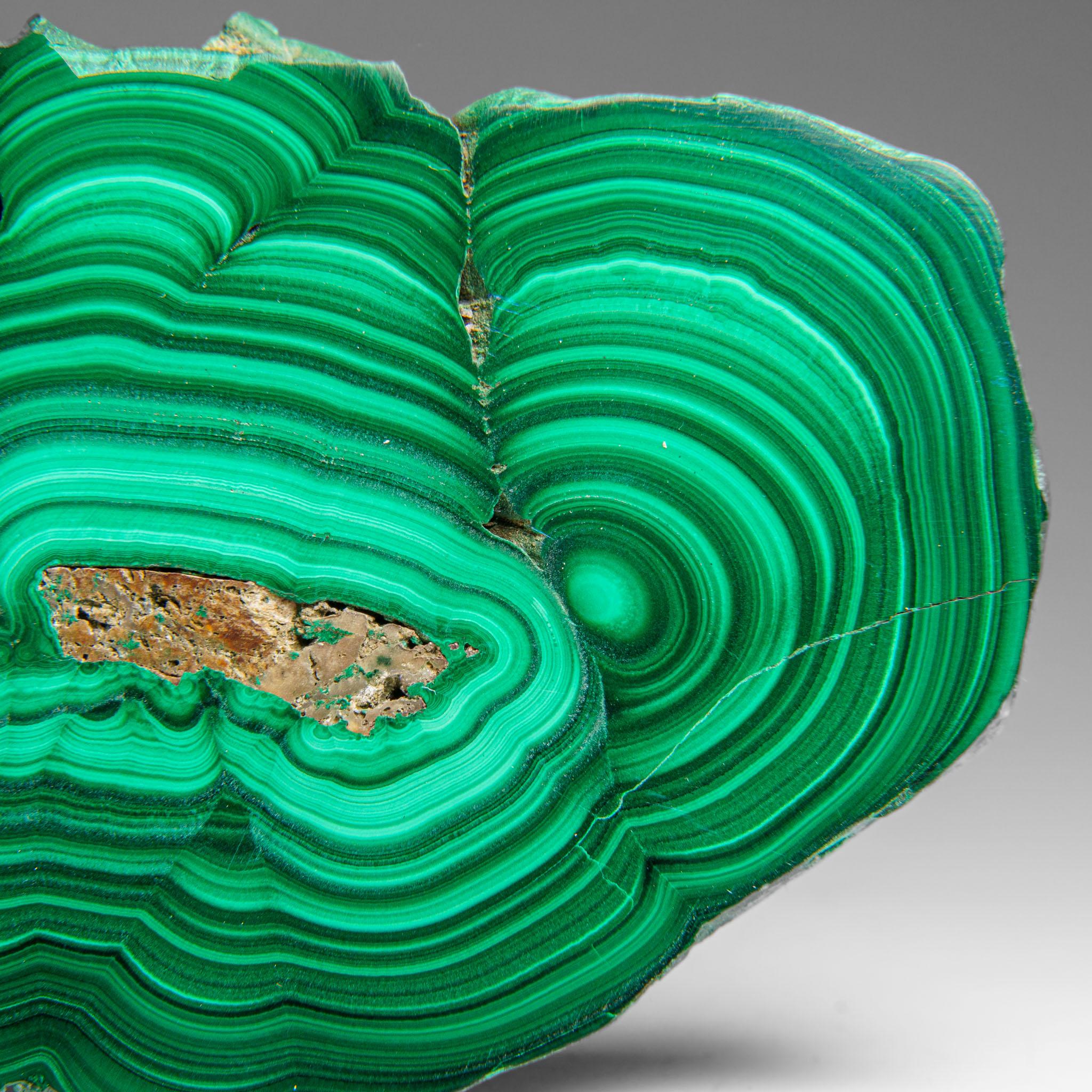 Genuine Polished Malachite Stalactite Slice (322.9 grams) For Sale 5
