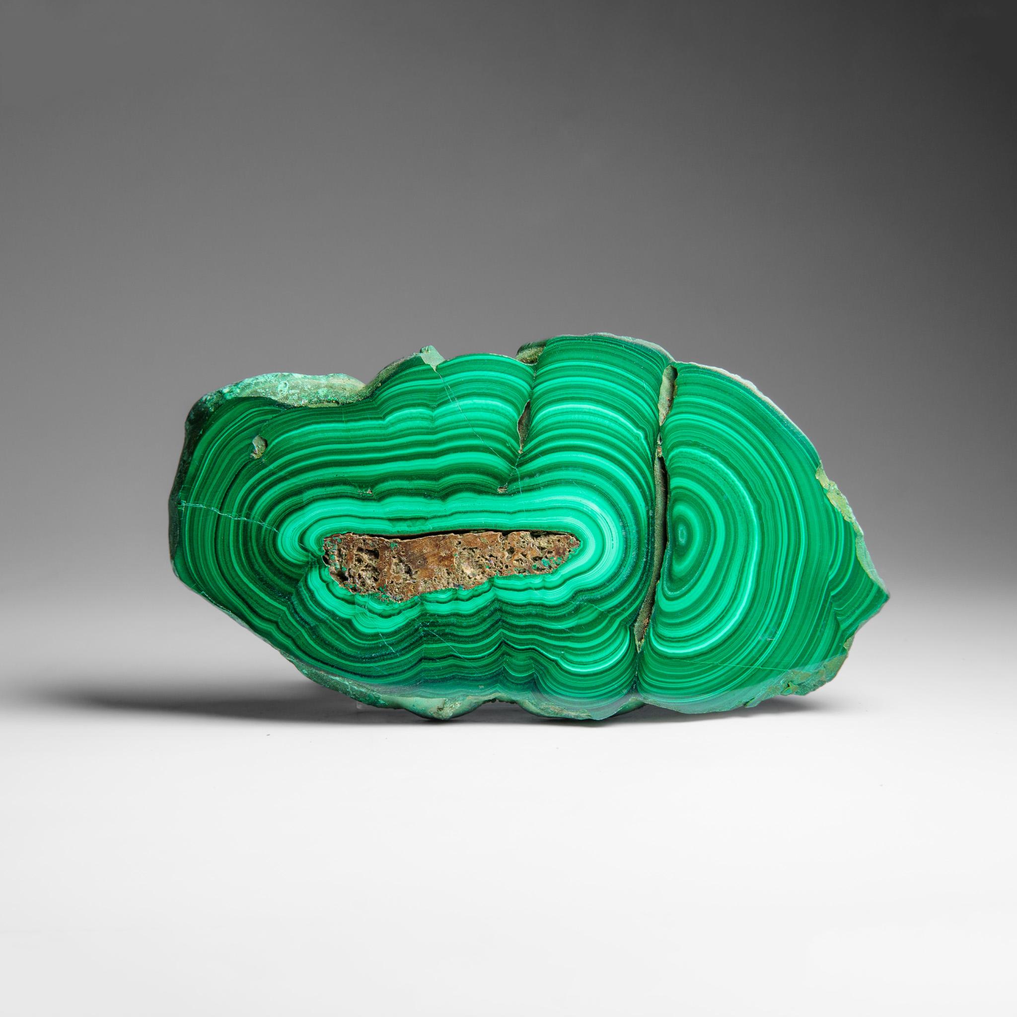 A fine and gorgeous Malachite Stalactite slice from Congo with rich, velvety bands of light and dark green and a magical chatoyance that morphs and gleams in the light as you move the slice around. both sides of the piece are beautifully polished,