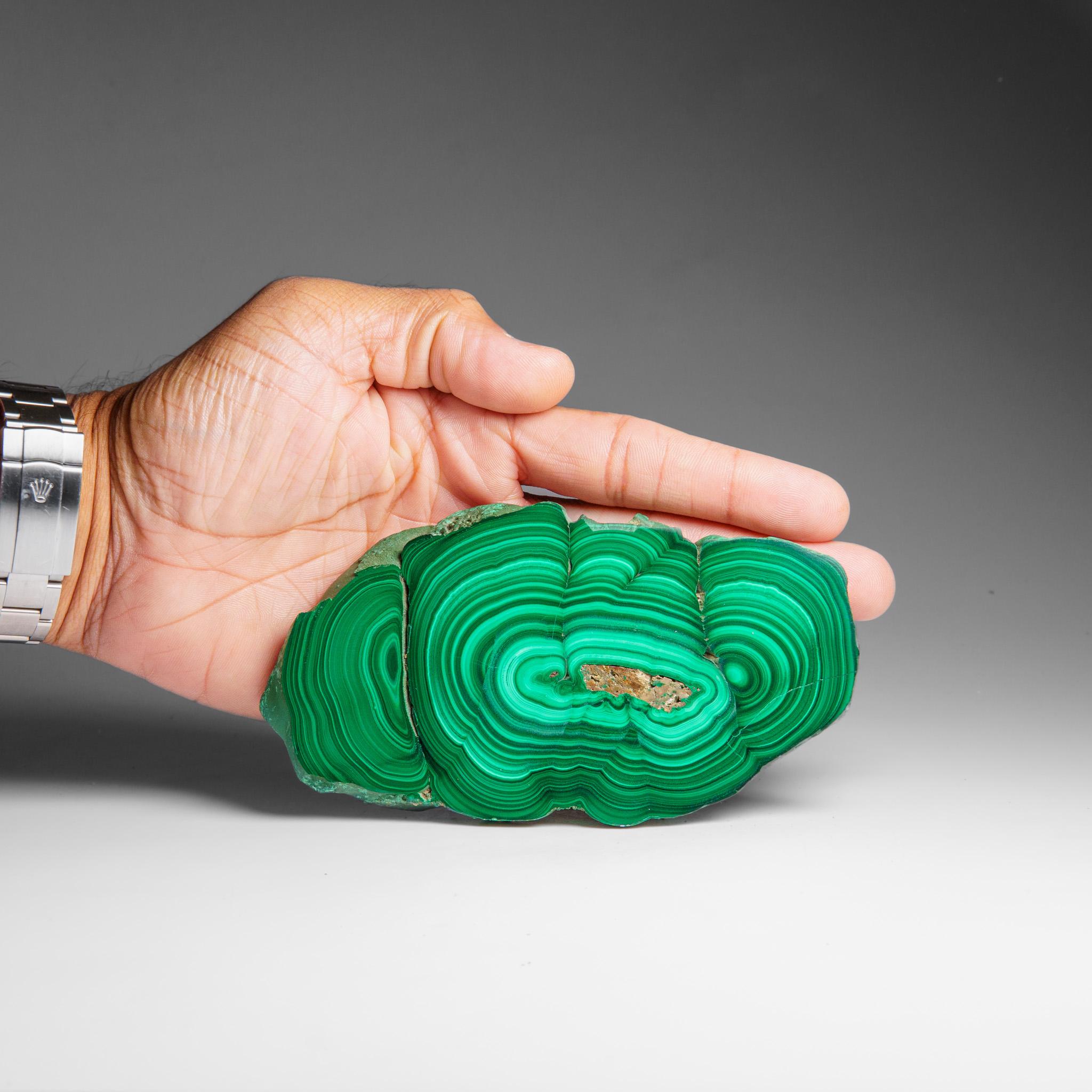 Genuine Polished Malachite Stalactite Slice (322.9 grams) In Excellent Condition For Sale In New York, NY