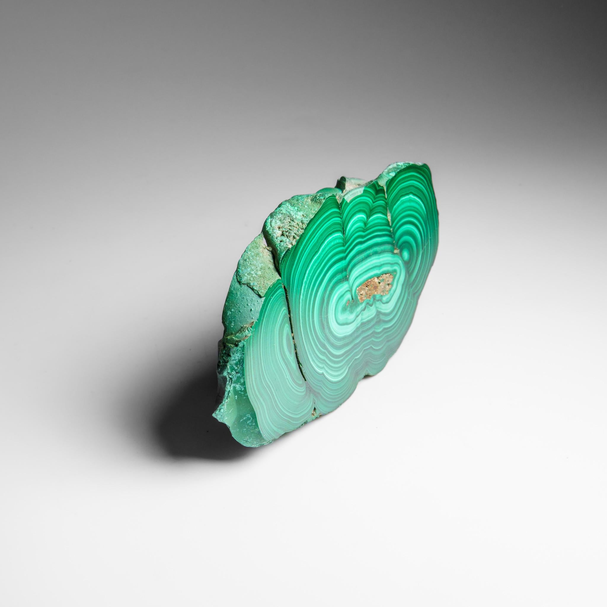 Contemporary Genuine Polished Malachite Stalactite Slice (322.9 grams) For Sale