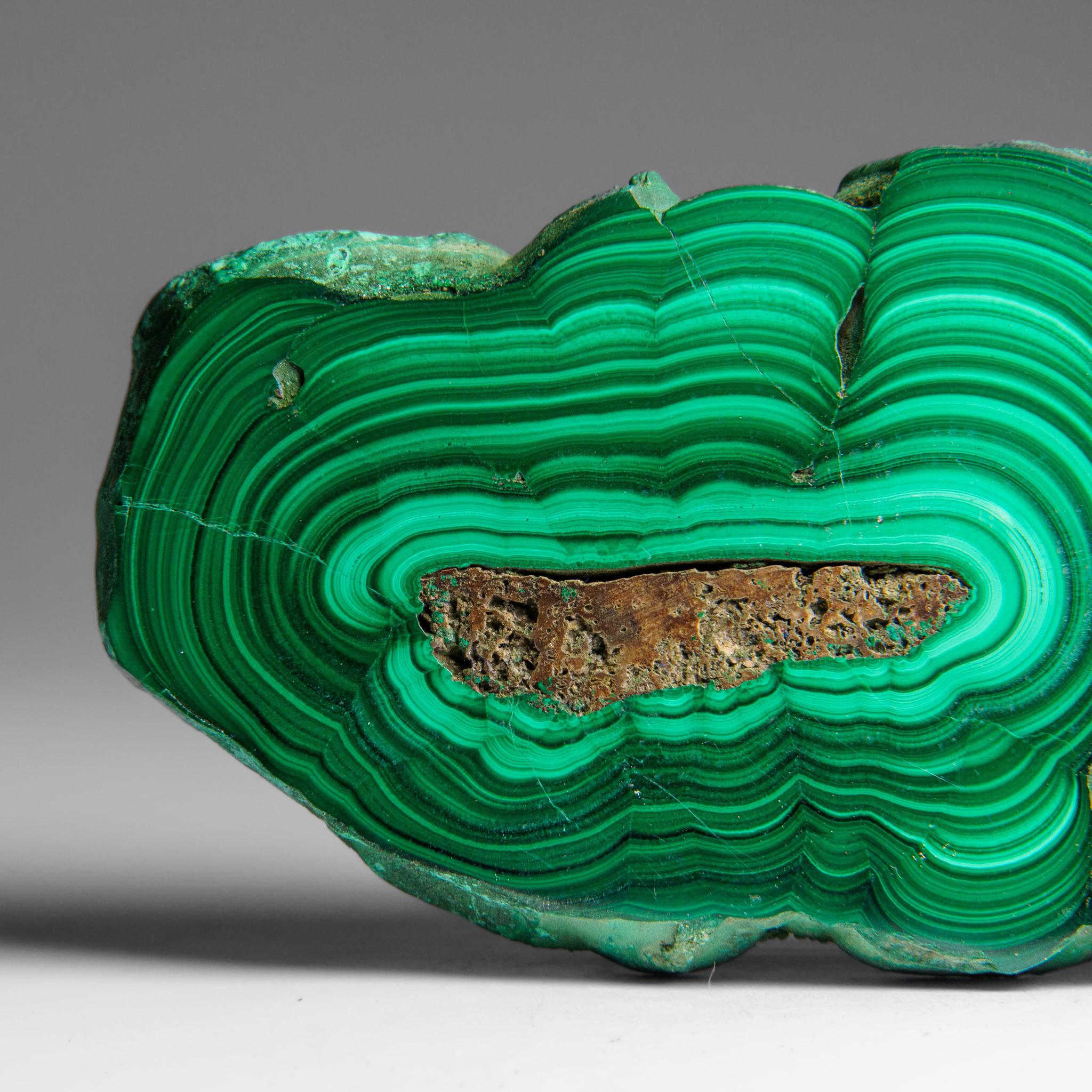 Genuine Polished Malachite Stalactite Slice (322.9 grams) For Sale 1