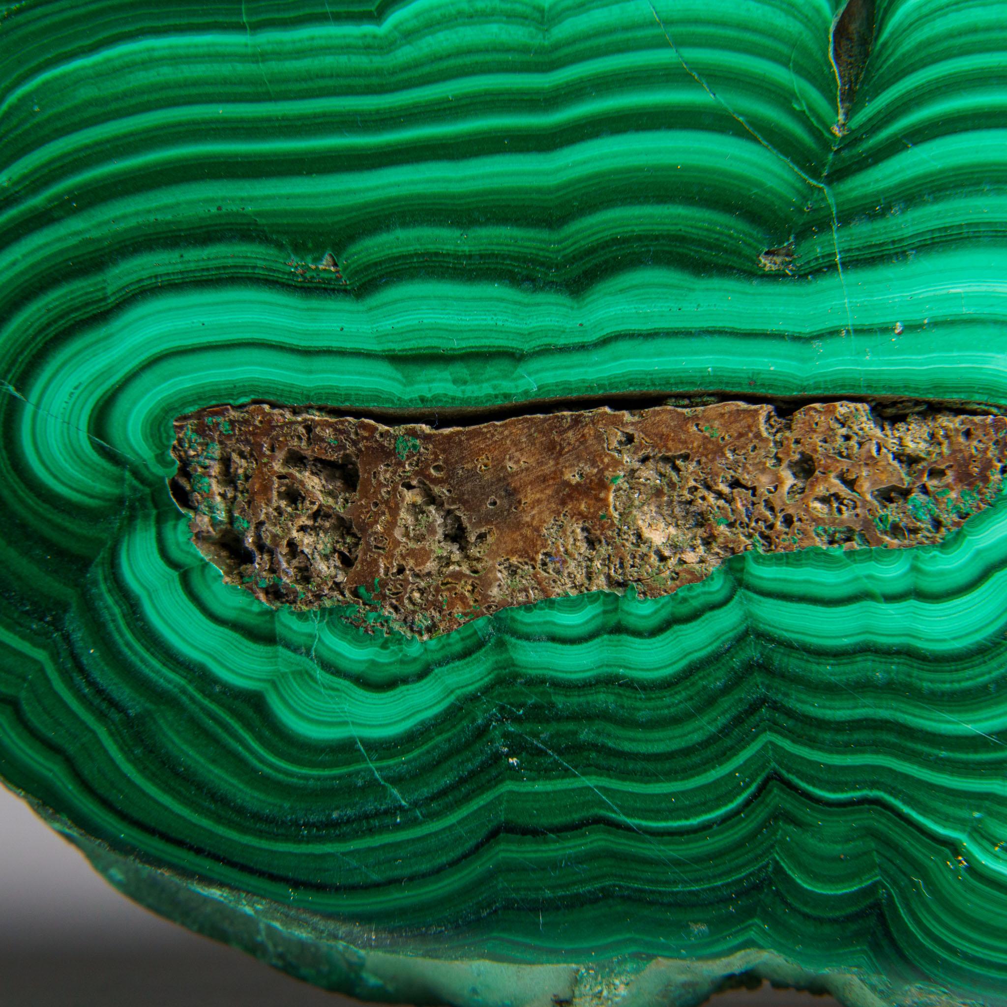 Genuine Polished Malachite Stalactite Slice (322.9 grams) For Sale 3