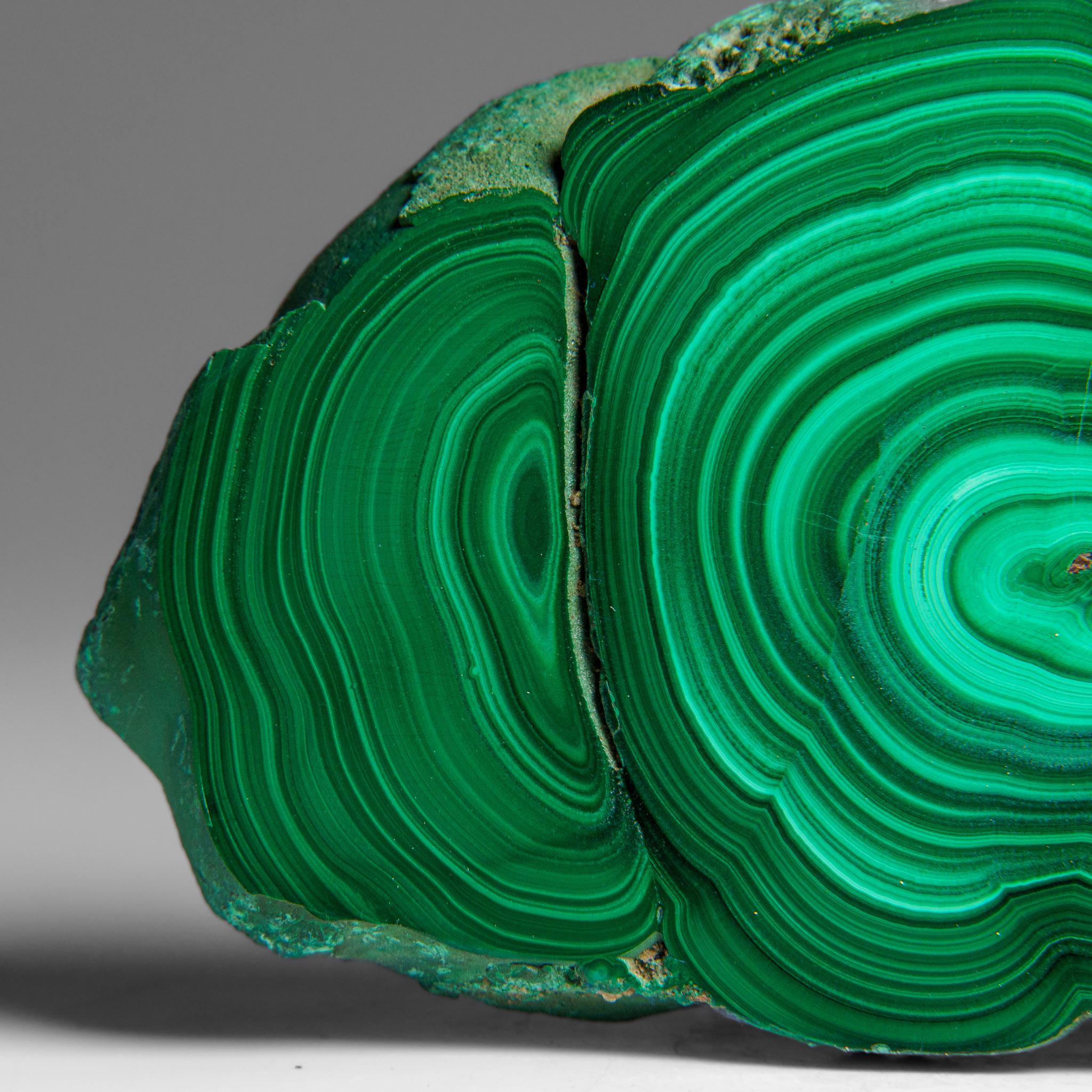 Genuine Polished Malachite Stalactite Slice (322.9 grams) For Sale 4