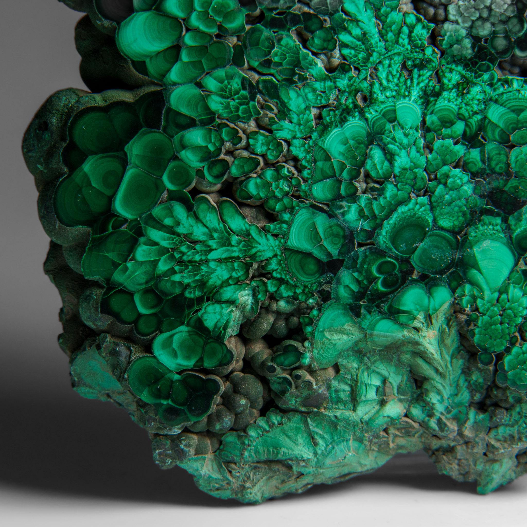 Genuine Polished Malachite Stalactite Slice (384.9 grams) For Sale 5