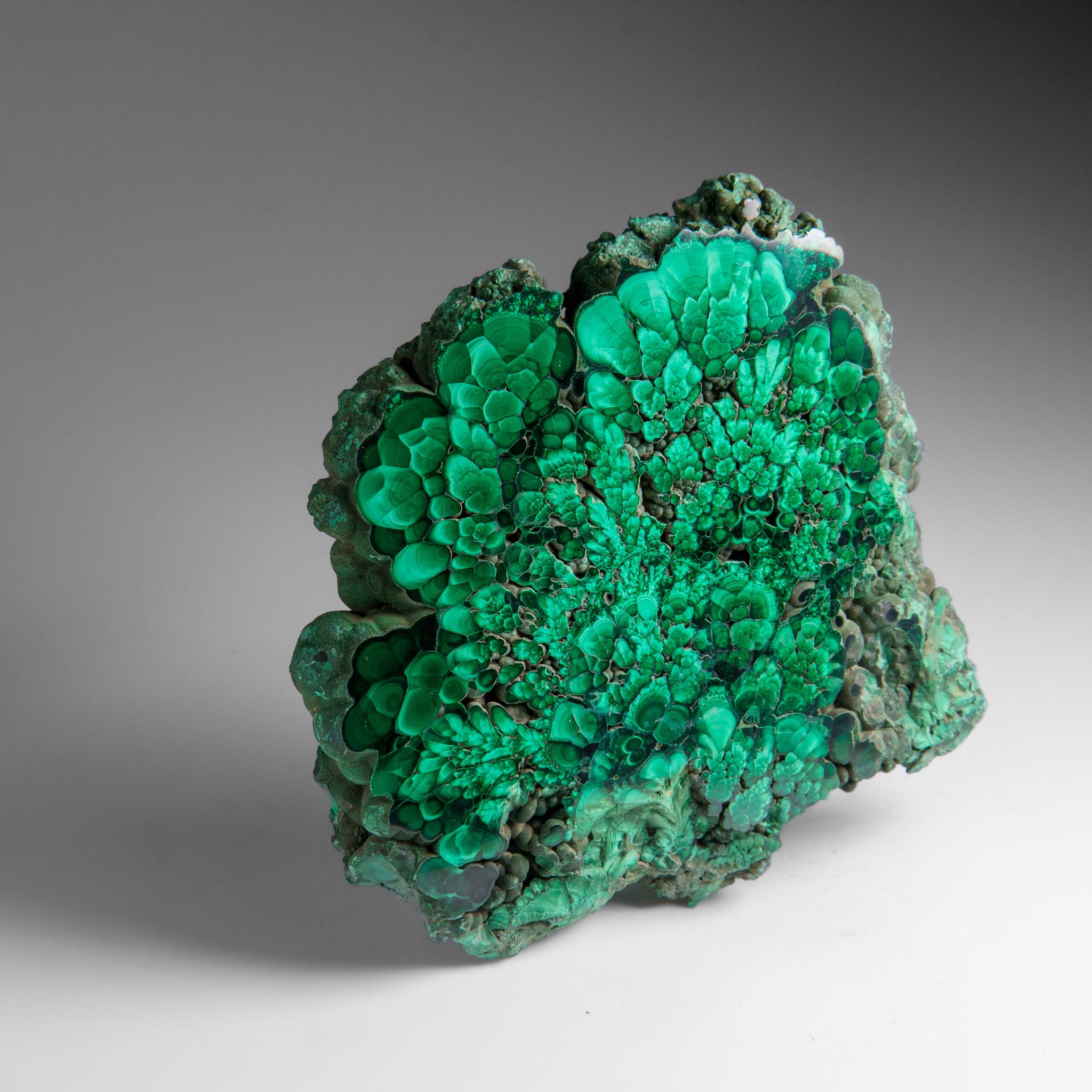 Genuine Polished Malachite Stalactite Slice (384.9 grams) For Sale 6
