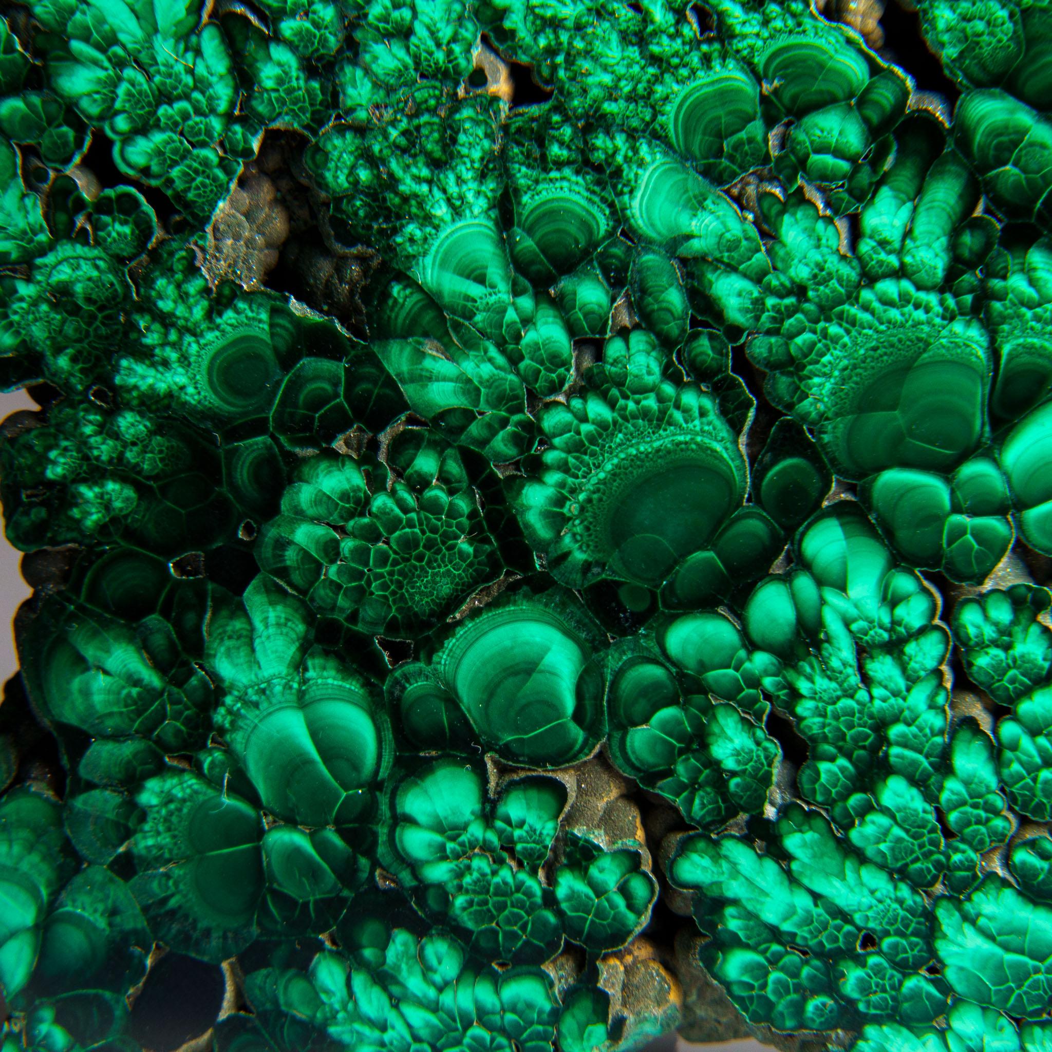A fine and gorgeous Malachite Stalactite slice from Congo with rich, velvety bands of light and dark green and a magical chatoyance that morphs and gleams in the light as you move the slice around. both sides of the piece are beautifully polished,