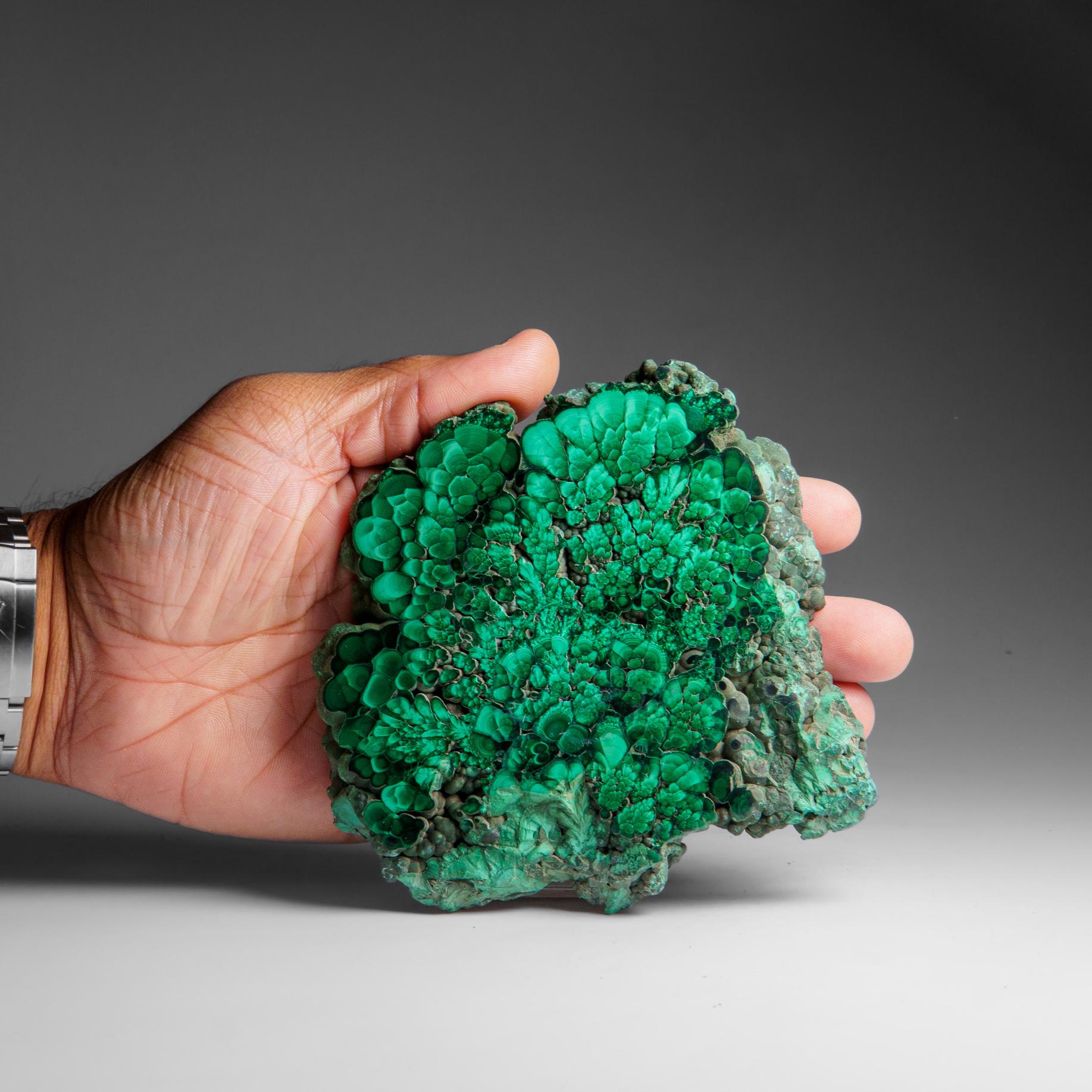 Genuine Polished Malachite Stalactite Slice (384.9 grams) In Excellent Condition For Sale In New York, NY