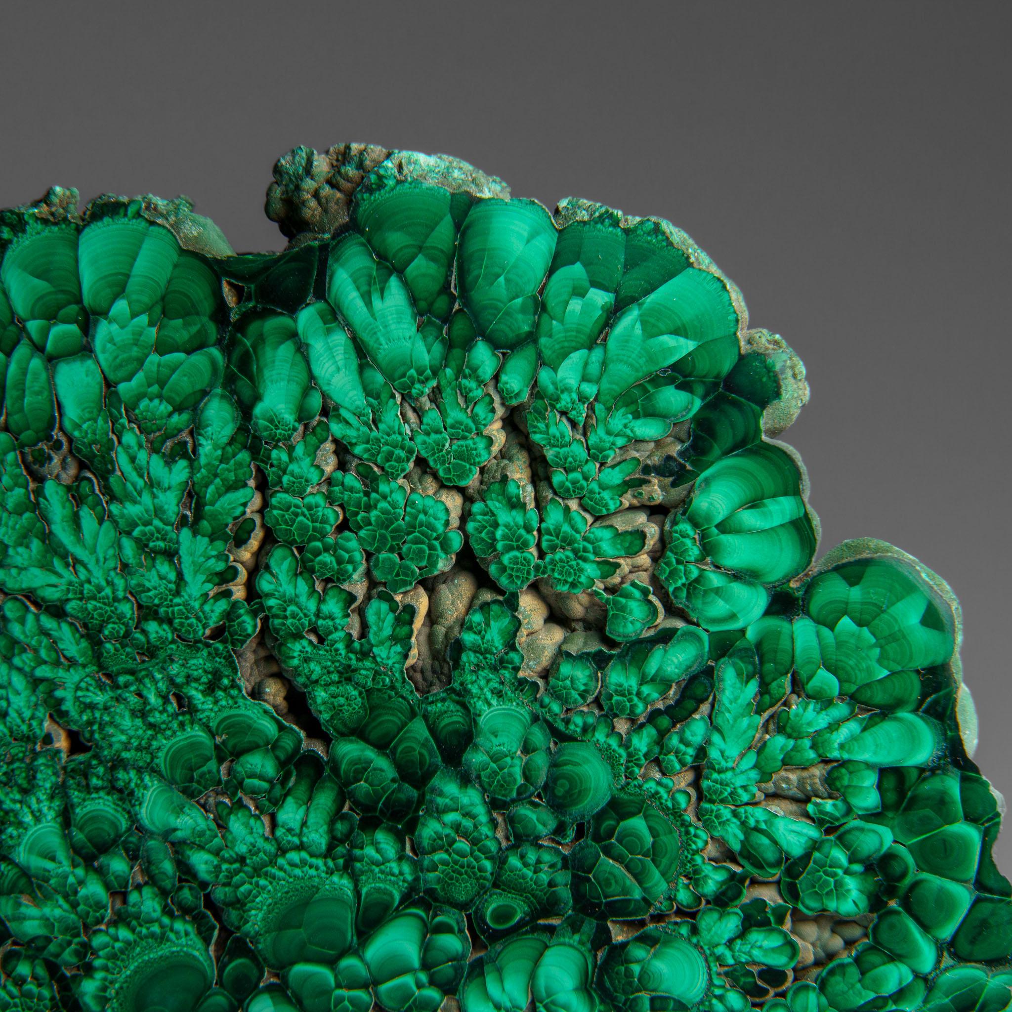 Contemporary Genuine Polished Malachite Stalactite Slice (384.9 grams) For Sale