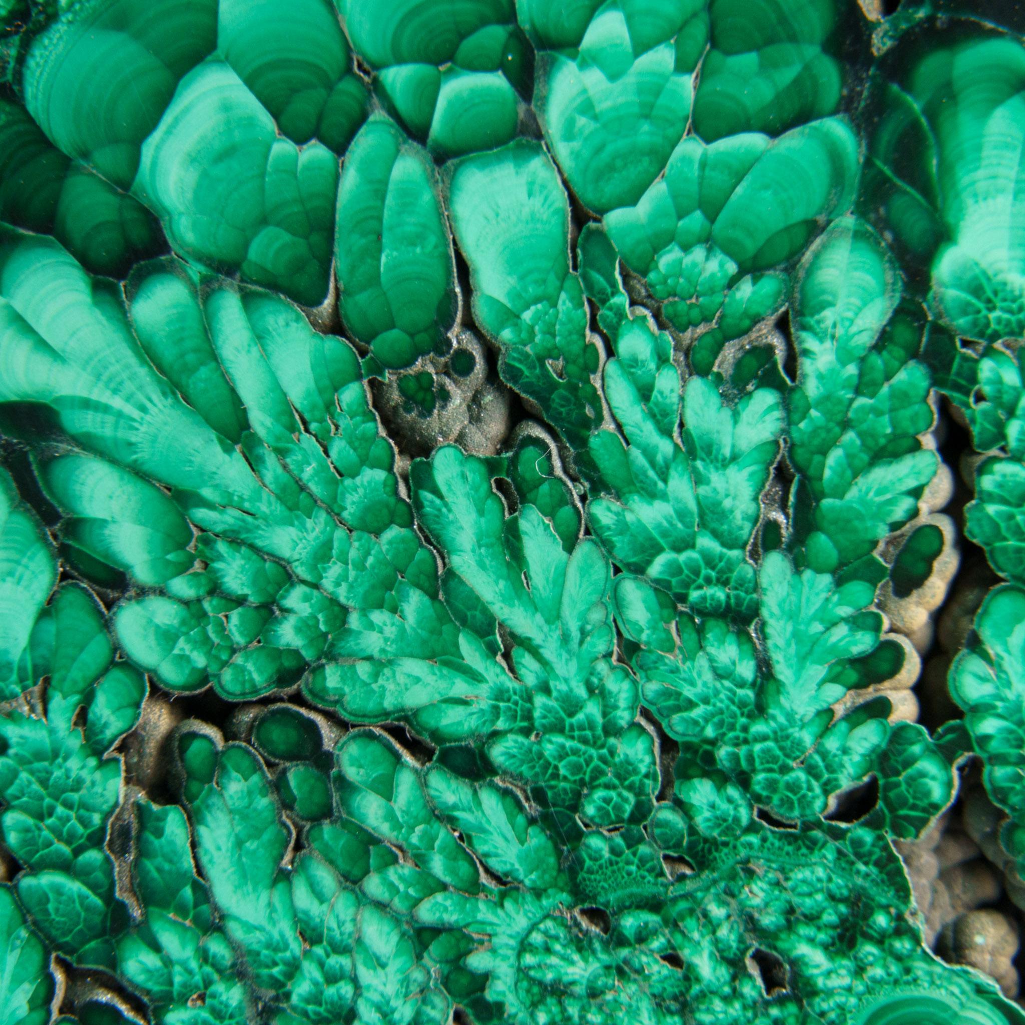 Genuine Polished Malachite Stalactite Slice (384.9 grams) For Sale 2