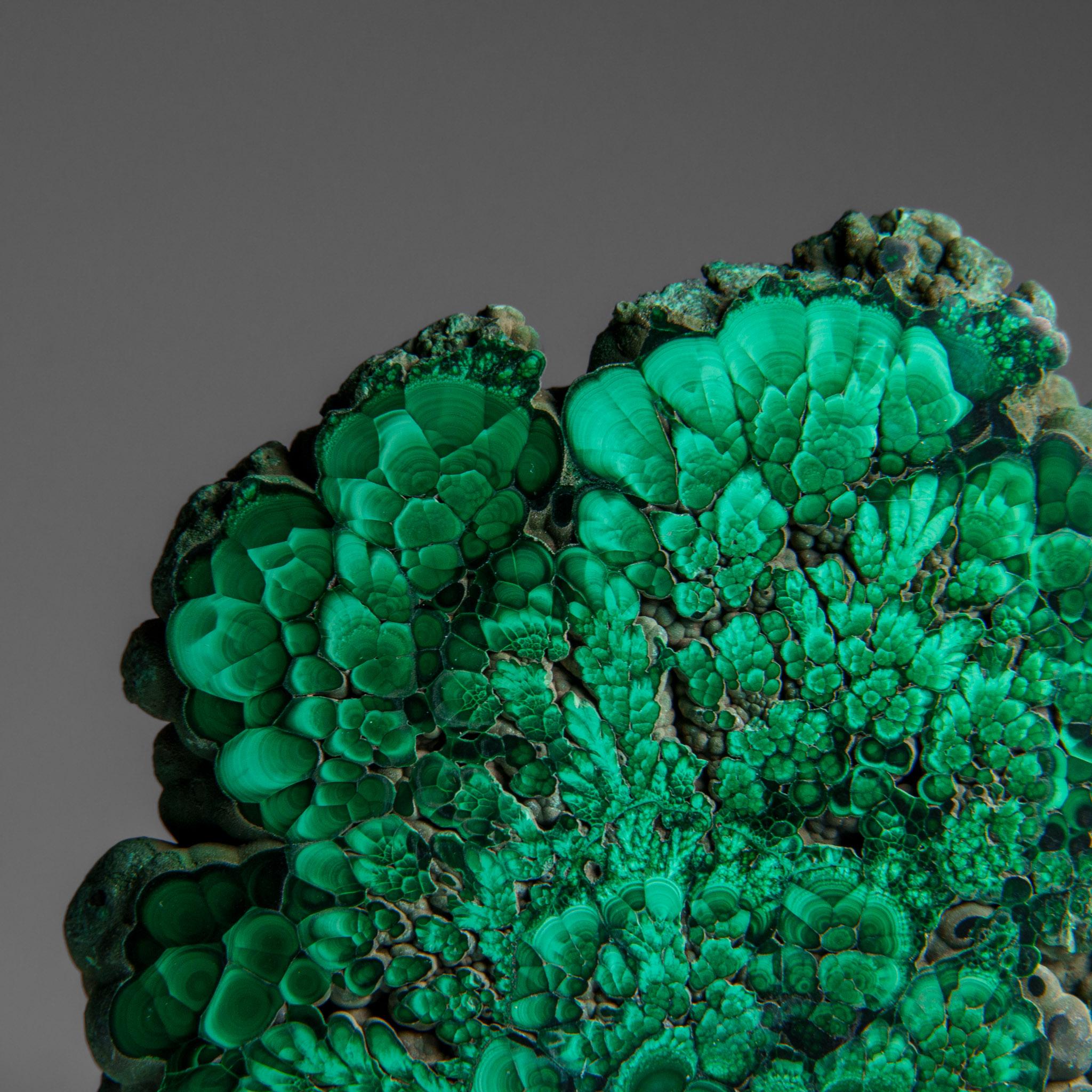 Genuine Polished Malachite Stalactite Slice (384.9 grams) For Sale 4