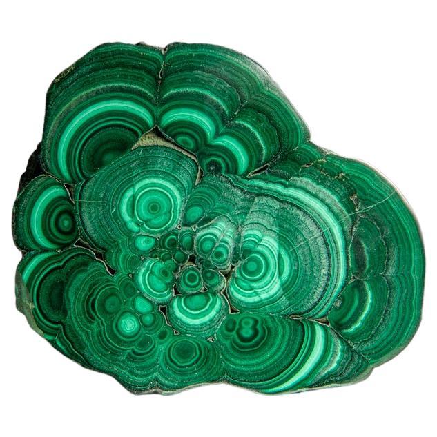 Genuine Polished Malachite Stalactite Slice (450 grams)
