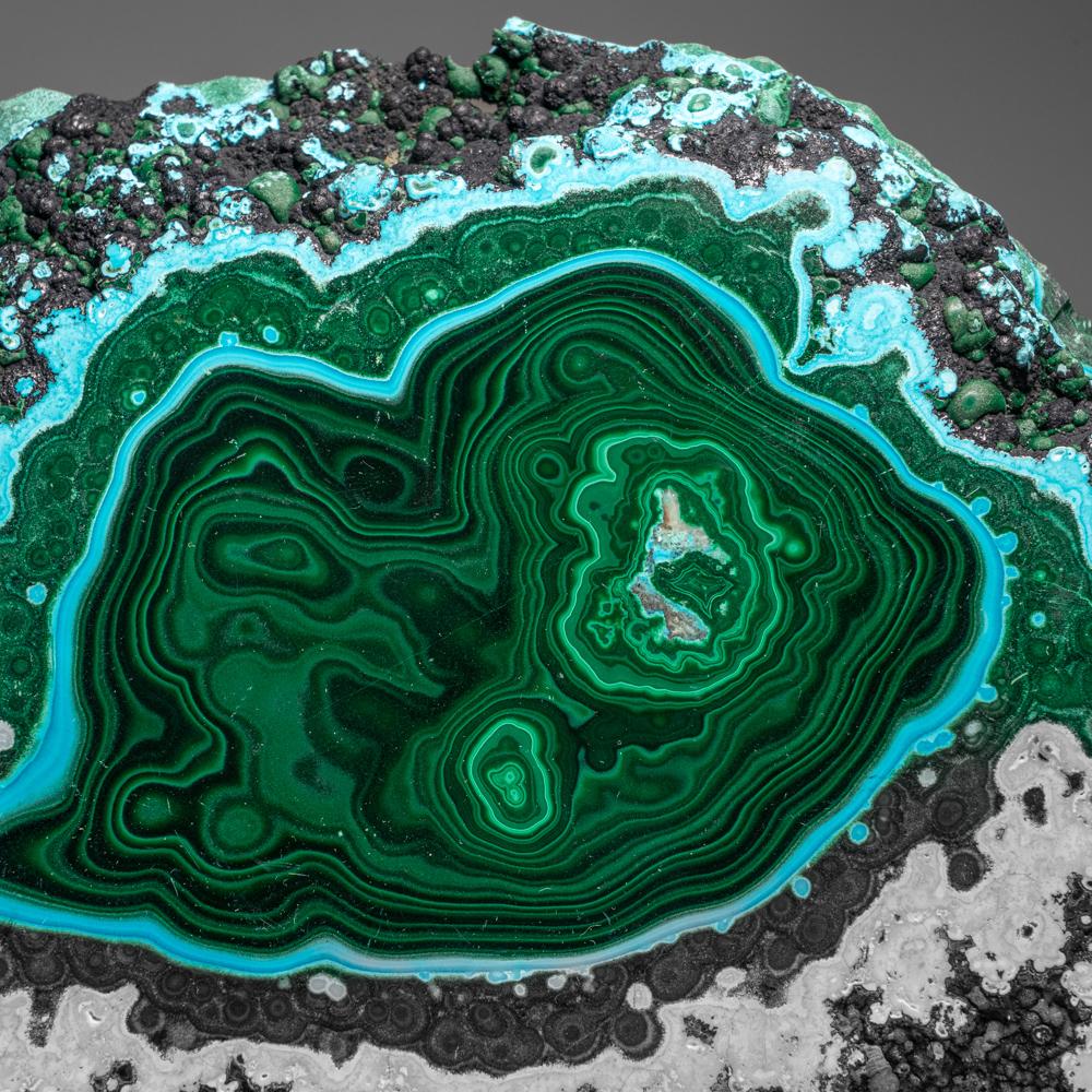 This is a gorgeous, colorful doubly polished Malachite and Chrysocolla slice from the Congo. Boasting intricate and artistic textures consisting of well-defined, thick, concentric and alternating rounded bands of rich green Malachite and sky-blue