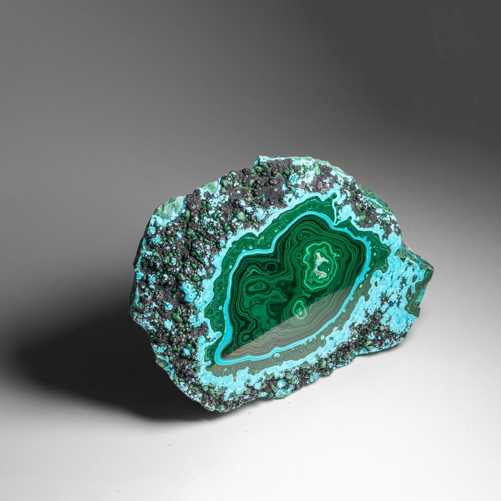 Genuine Polished Malachite with Chrysocolla Stalactite Slice (2.9 lbs) In Excellent Condition For Sale In New York, NY