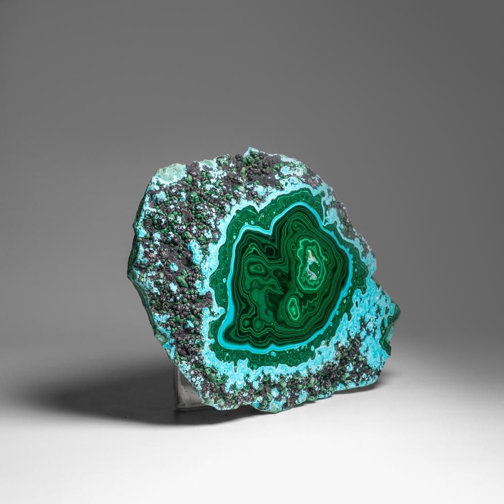 Contemporary Genuine Polished Malachite with Chrysocolla Stalactite Slice (2.9 lbs) For Sale