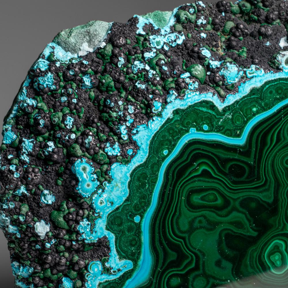 Genuine Polished Malachite with Chrysocolla Stalactite Slice (2.9 lbs) For Sale 1