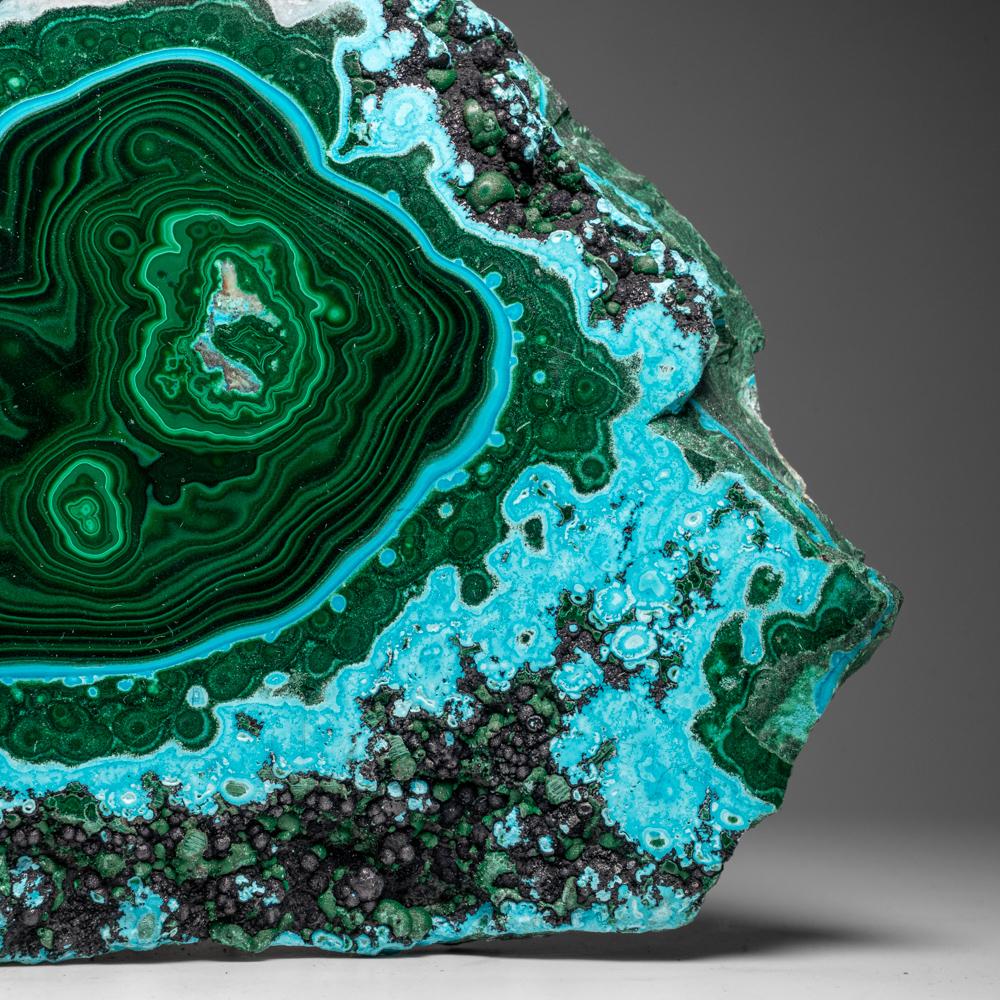 Genuine Polished Malachite with Chrysocolla Stalactite Slice (2.9 lbs) For Sale 2