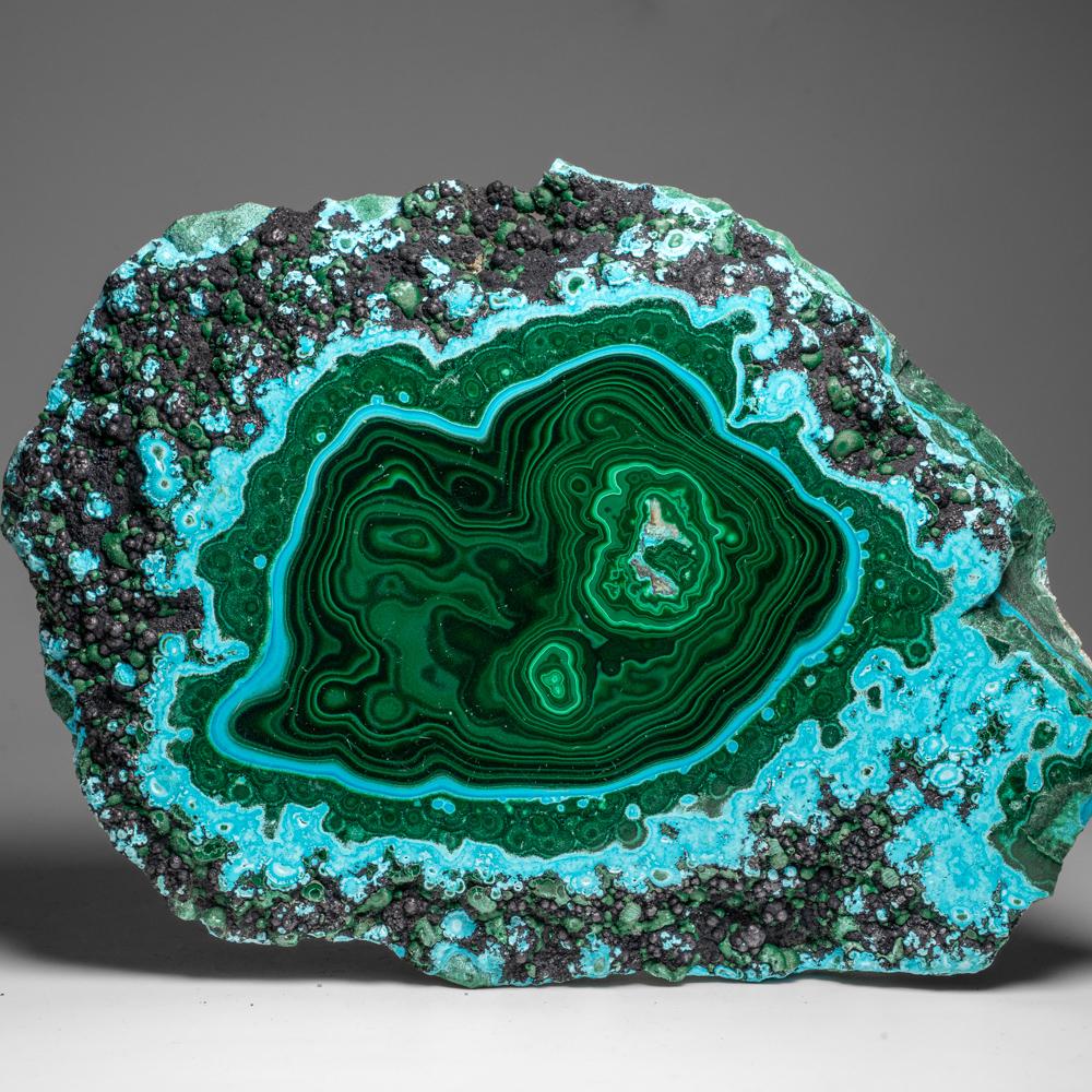 Genuine Polished Malachite with Chrysocolla Stalactite Slice (2.9 lbs) For Sale 3