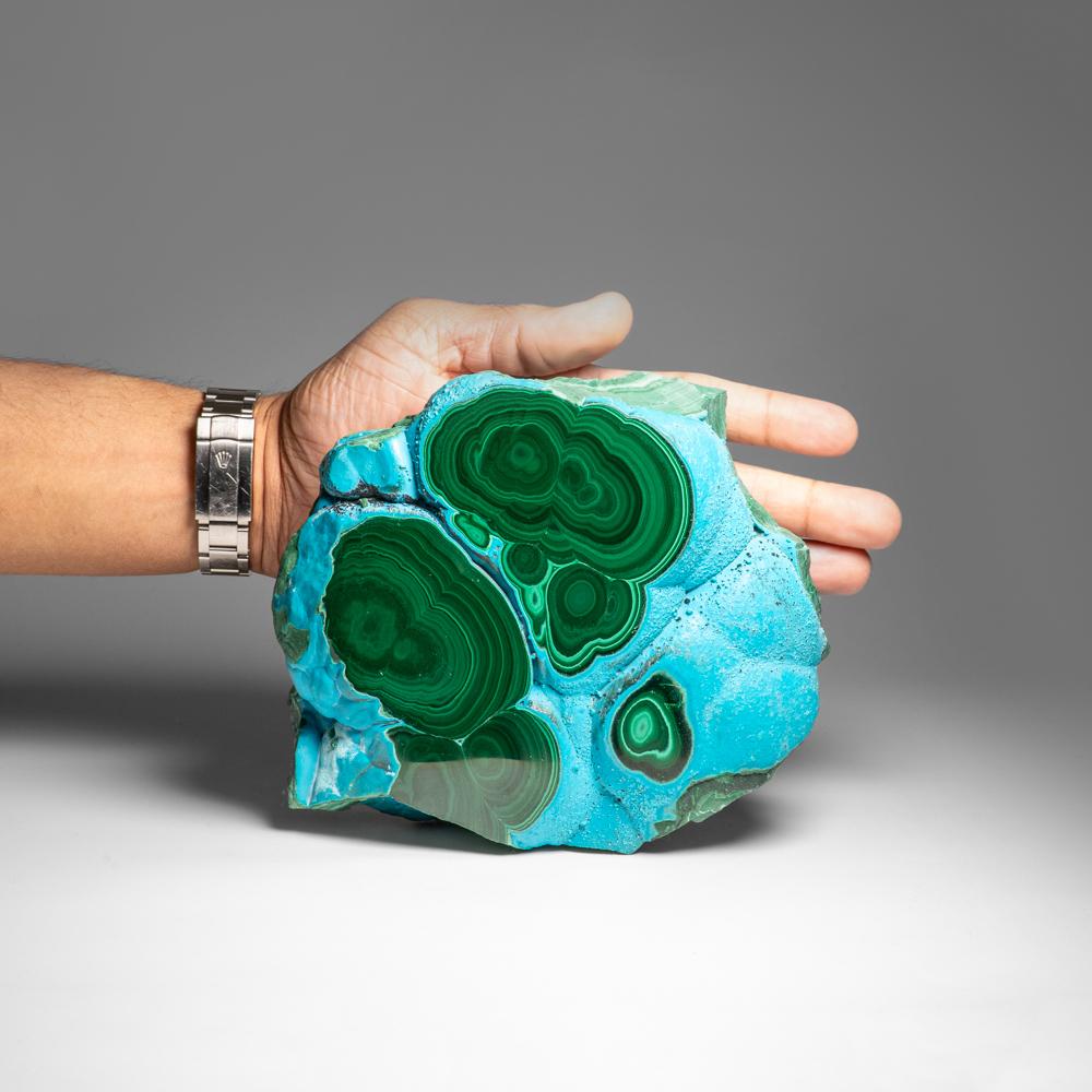 Ein echtes poliertes Malachit mit Chrysocolla- Stalactit-Scheibenschliff (5.2 lbs) (Kongolesisch) im Angebot
