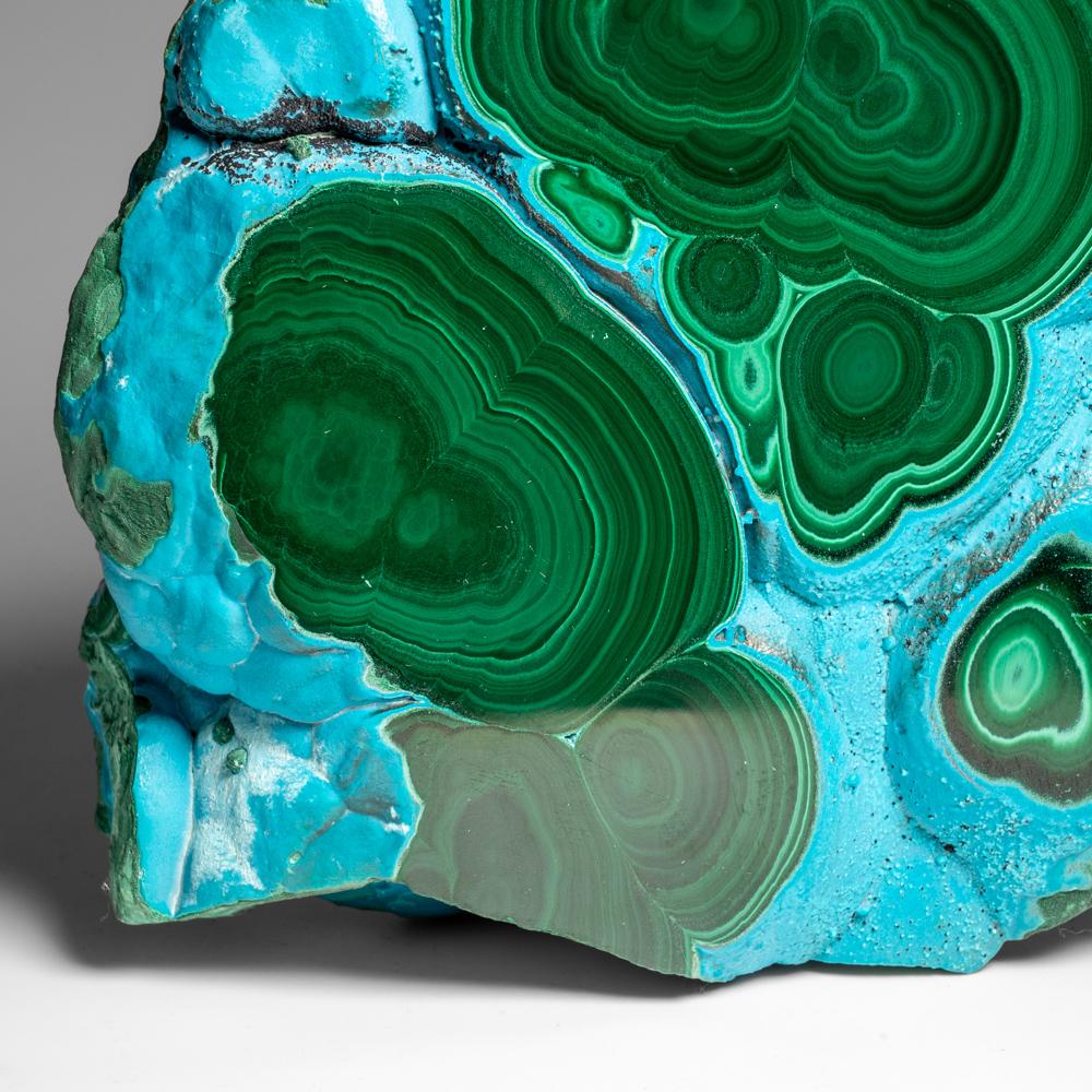 Ein echtes poliertes Malachit mit Chrysocolla- Stalactit-Scheibenschliff (5.2 lbs) im Angebot 1