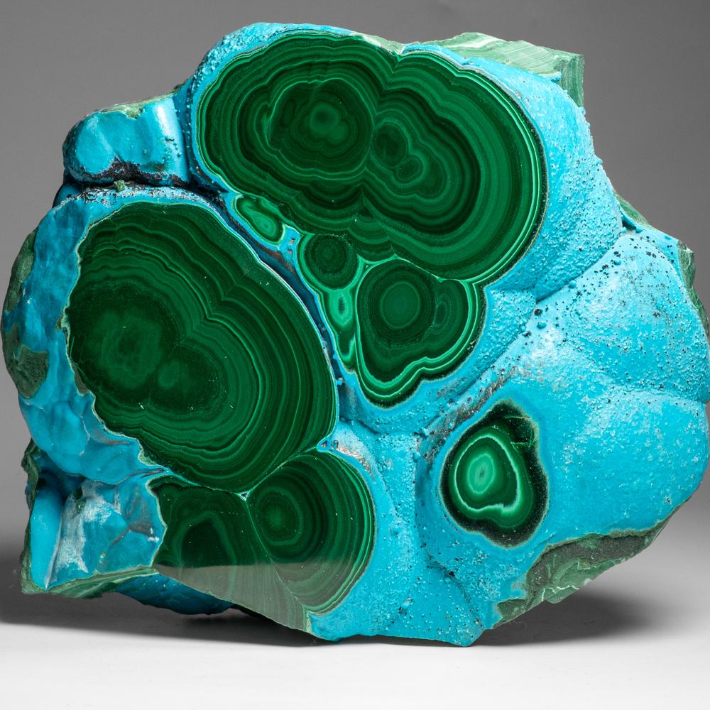 Ein echtes poliertes Malachit mit Chrysocolla- Stalactit-Scheibenschliff (5.2 lbs) im Angebot 3