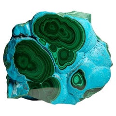 Genuine Polished Malachite with Chrysocolla Stalactite Slice (5.2 lbs)