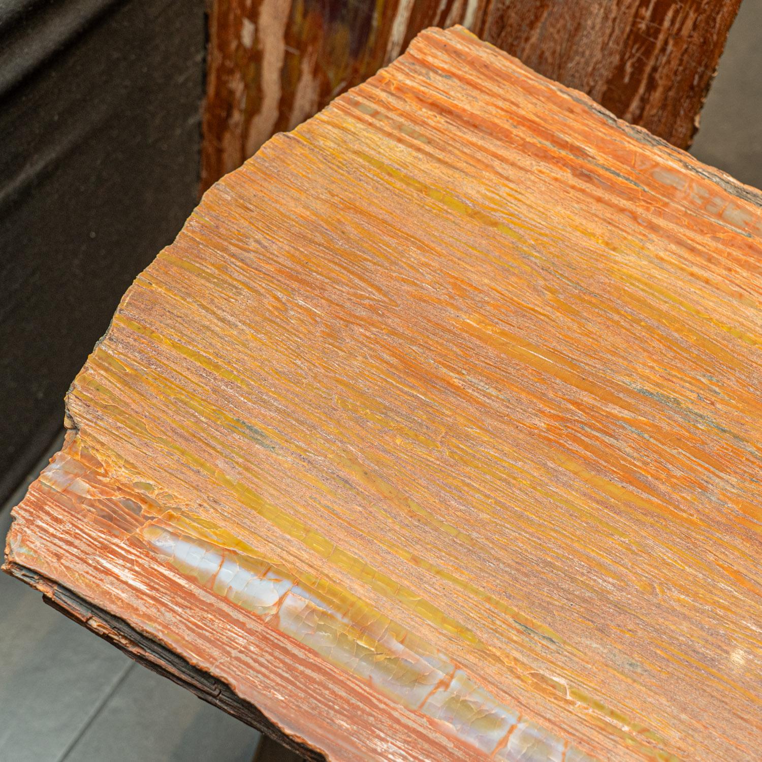 Echtes poliertes versteinertes Wood Wood Beistelltisch (amerikanisch) im Angebot